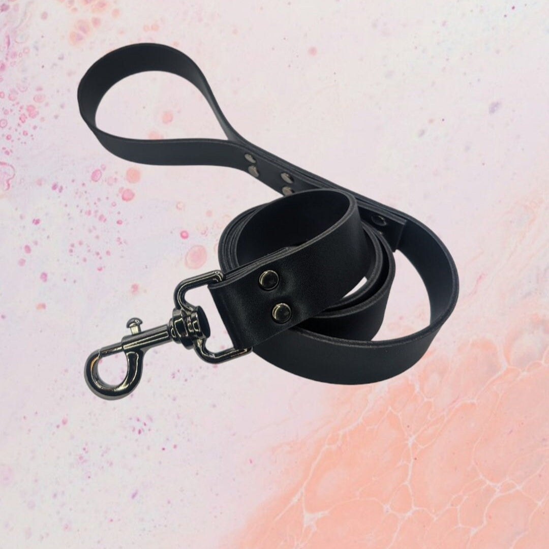 Leash with Large Clip