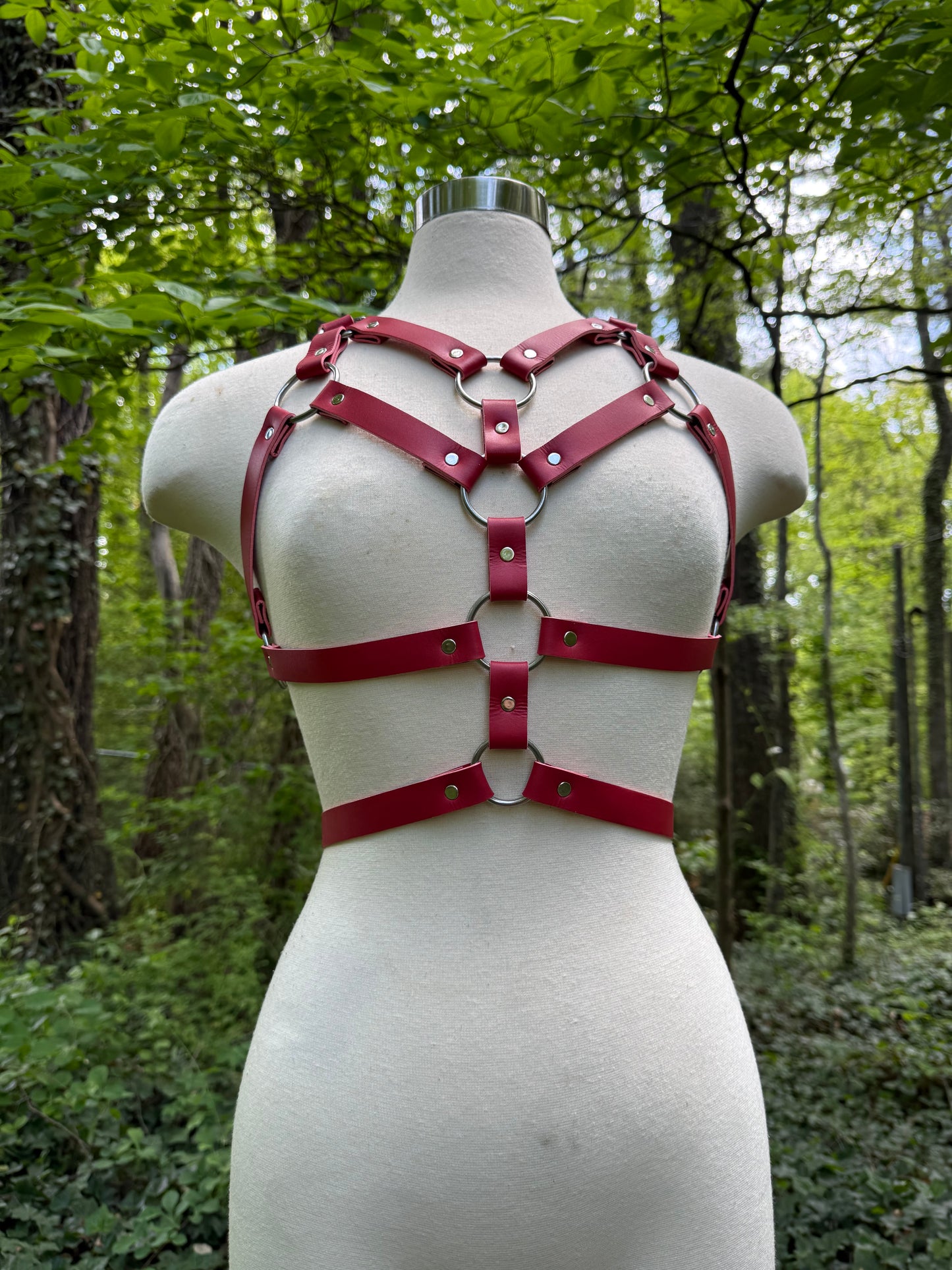 "Revival" Harness