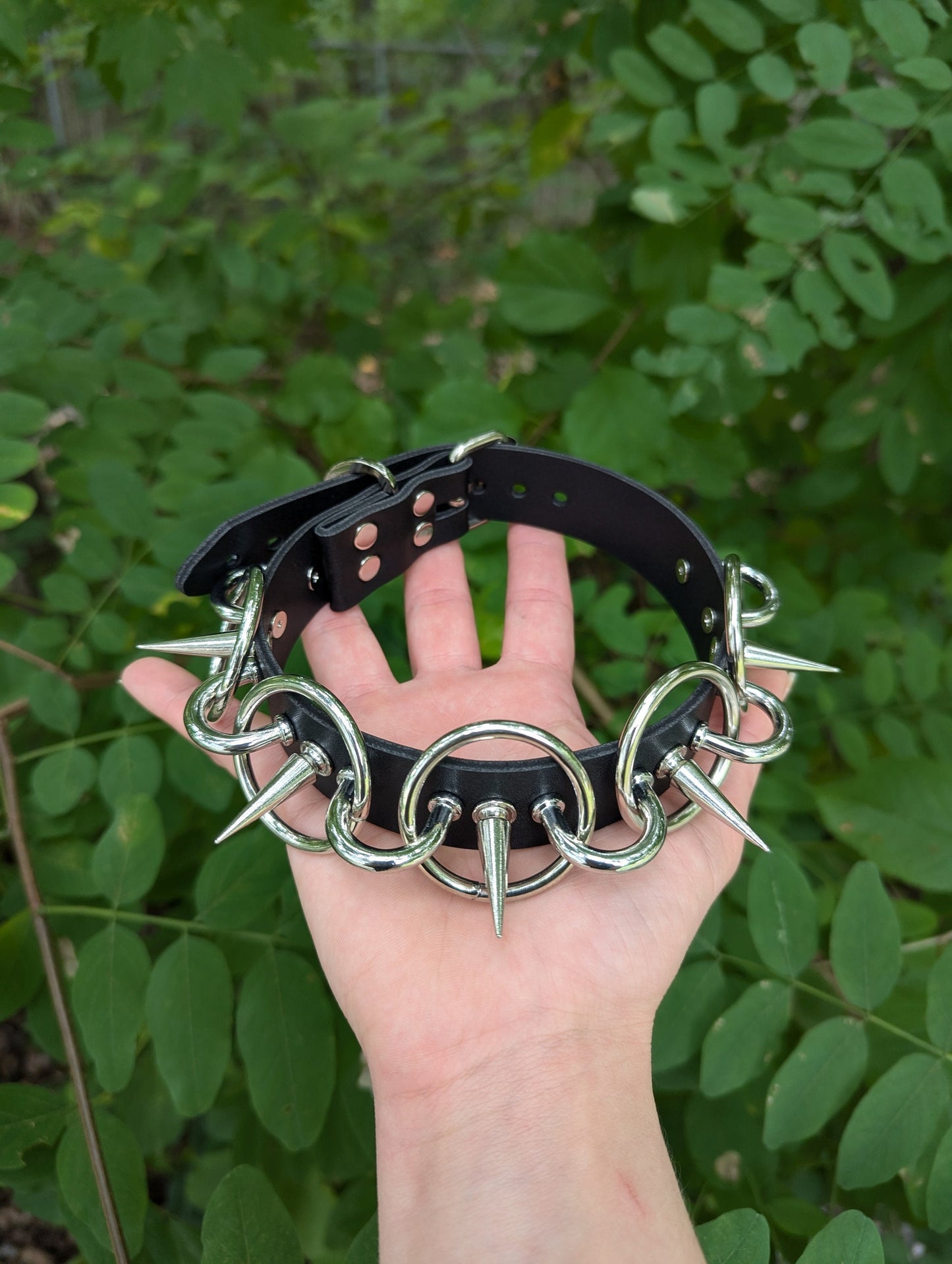 Ring Leader Collar