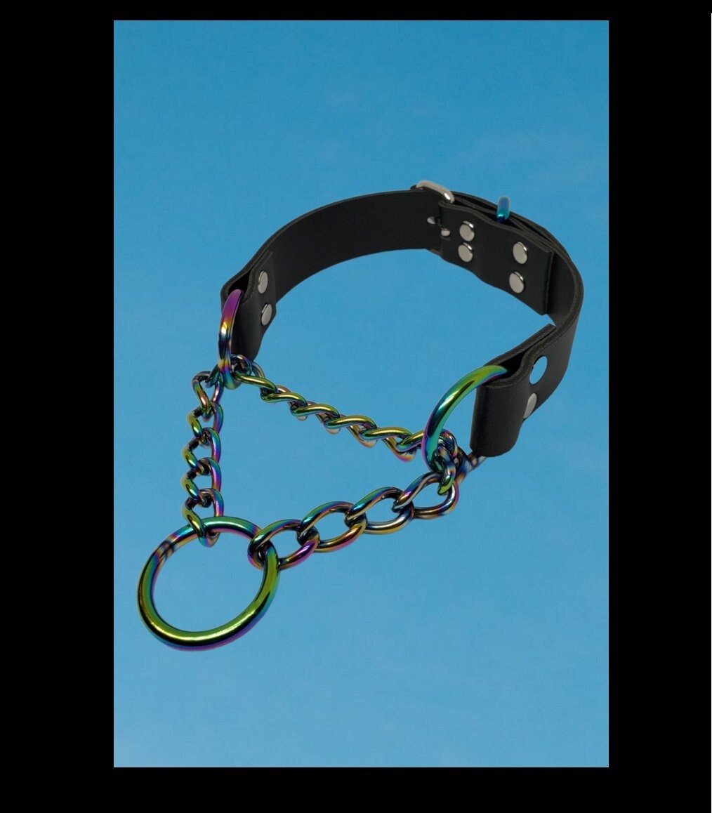 Rainbow Martingale Collar