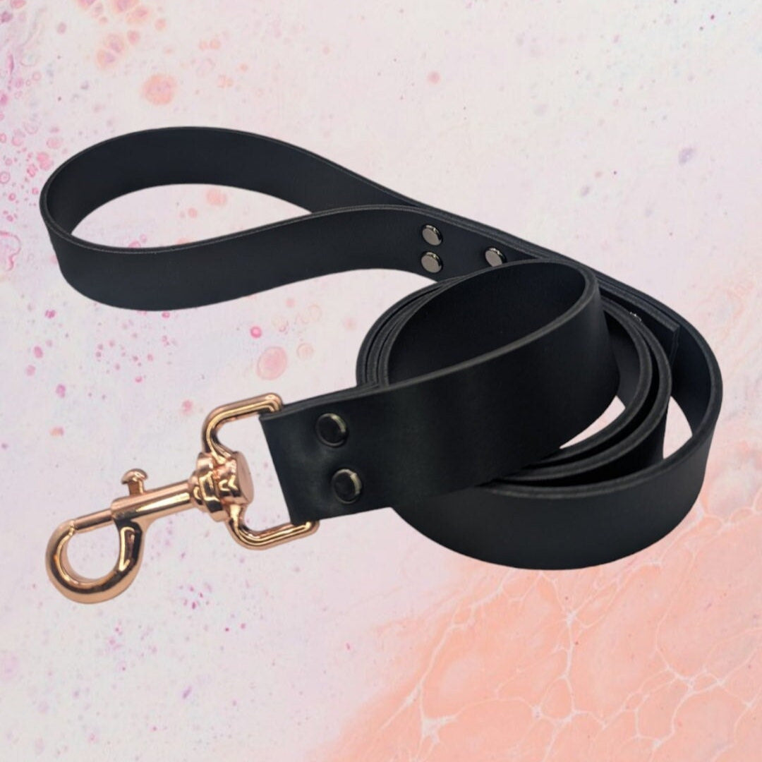 Leash with Large Clip