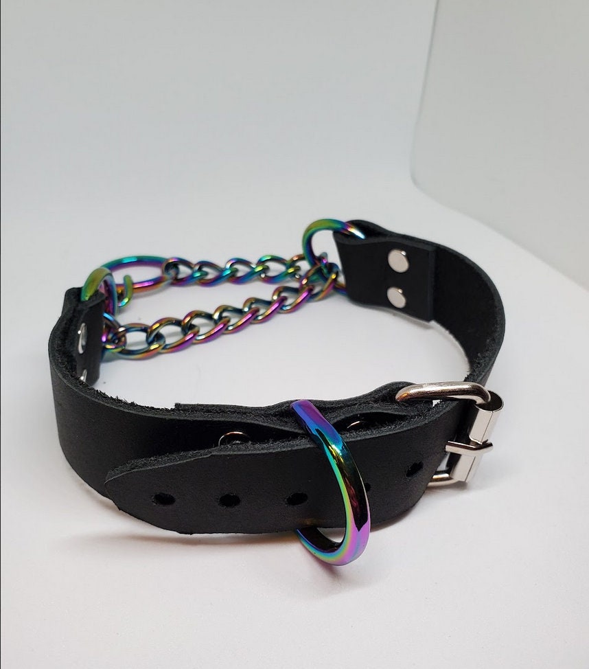 Rainbow Martingale Collar