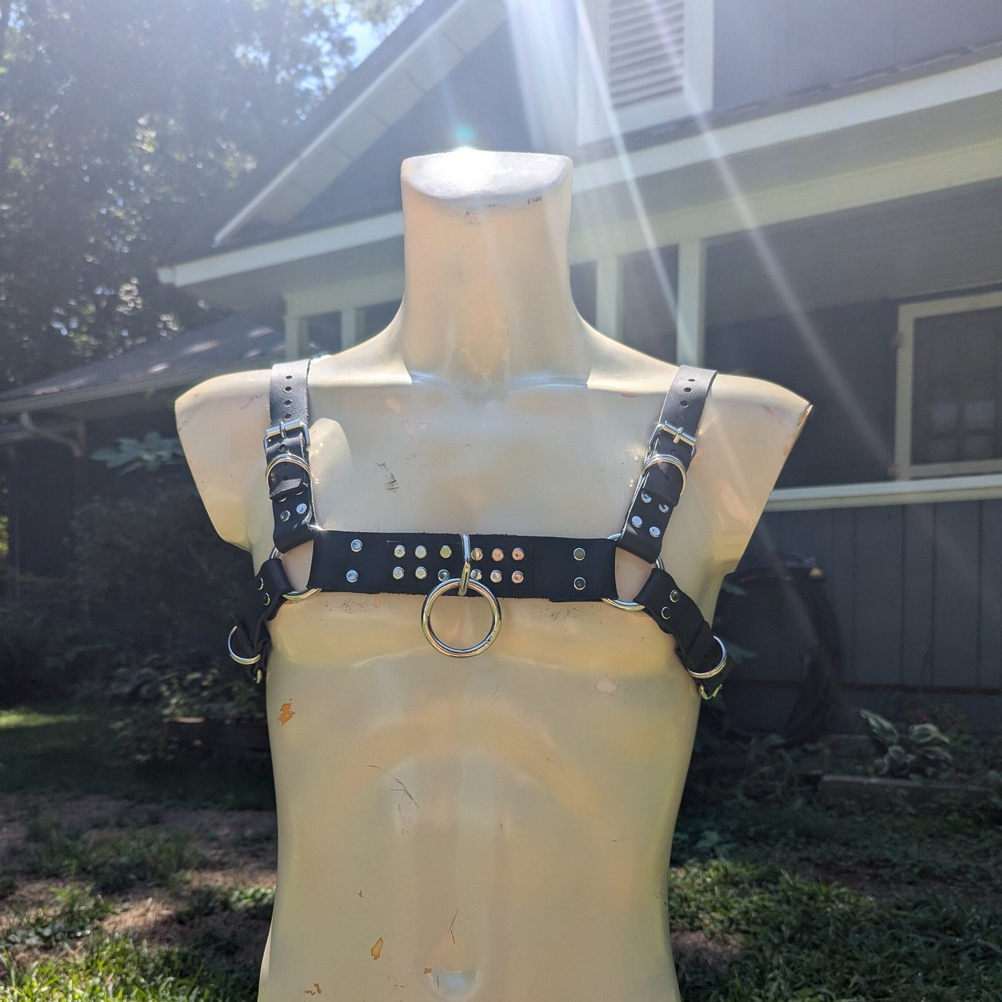 Leather Chest Harness