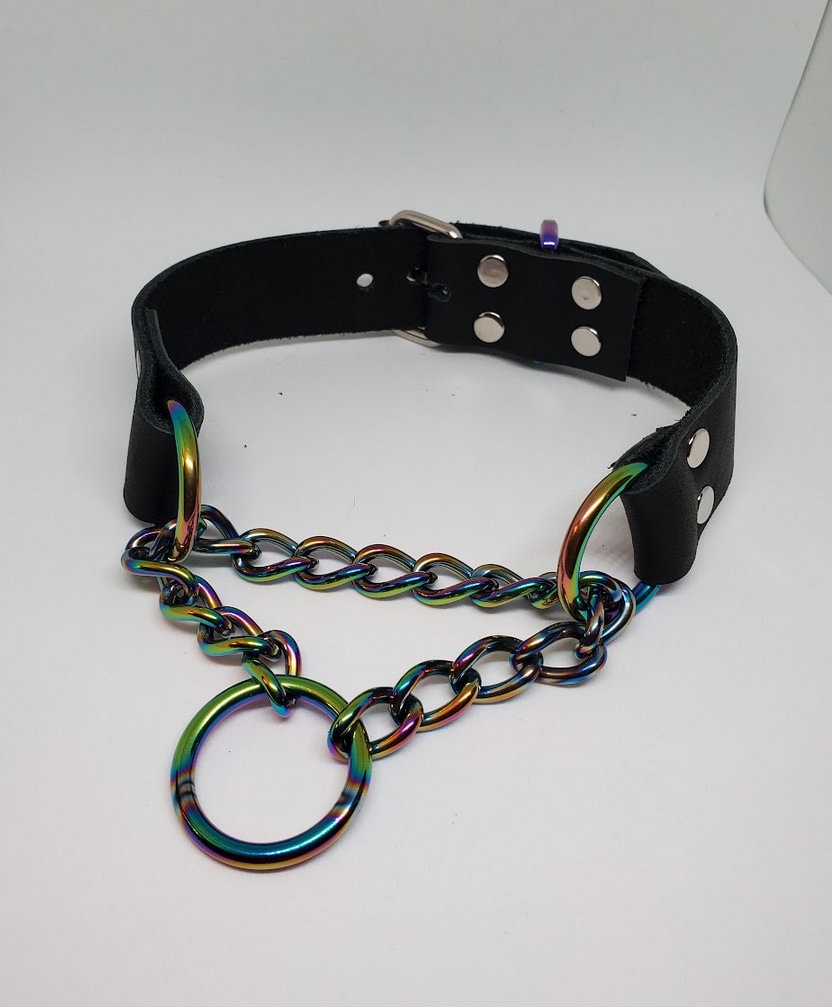 Rainbow Martingale Collar