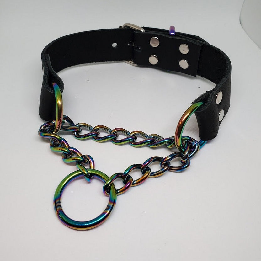 Rainbow Martingale Collar