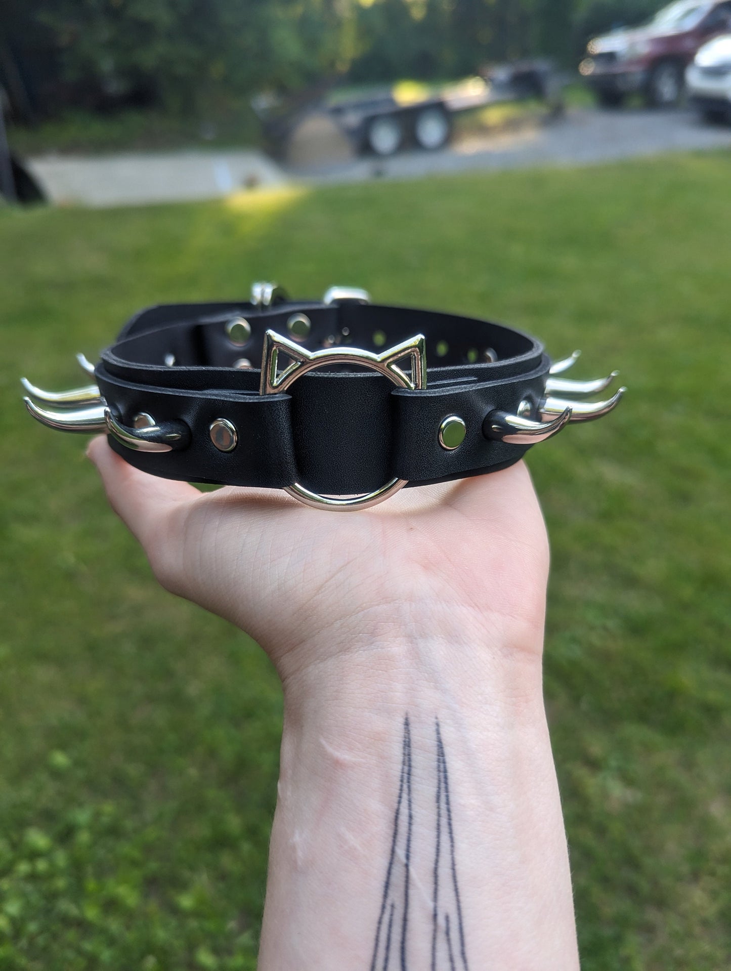 "Claws Out" Collar