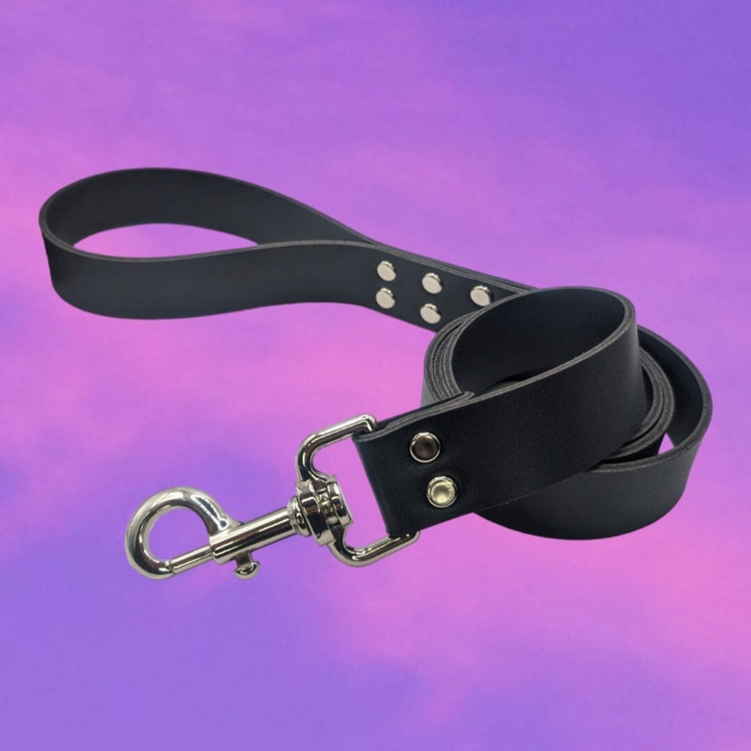 Leash with Large Clip