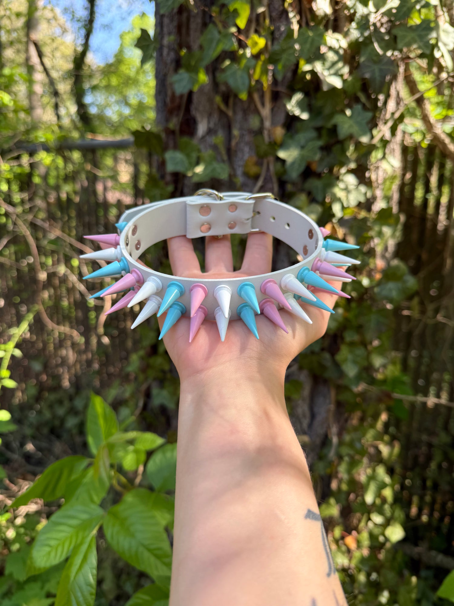 Pride Collection