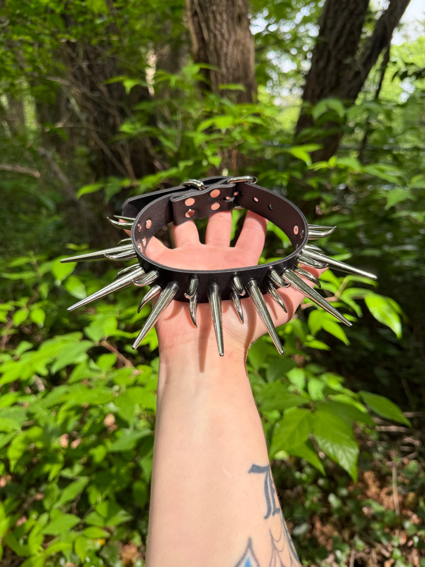 “Lion’s Den” Collar