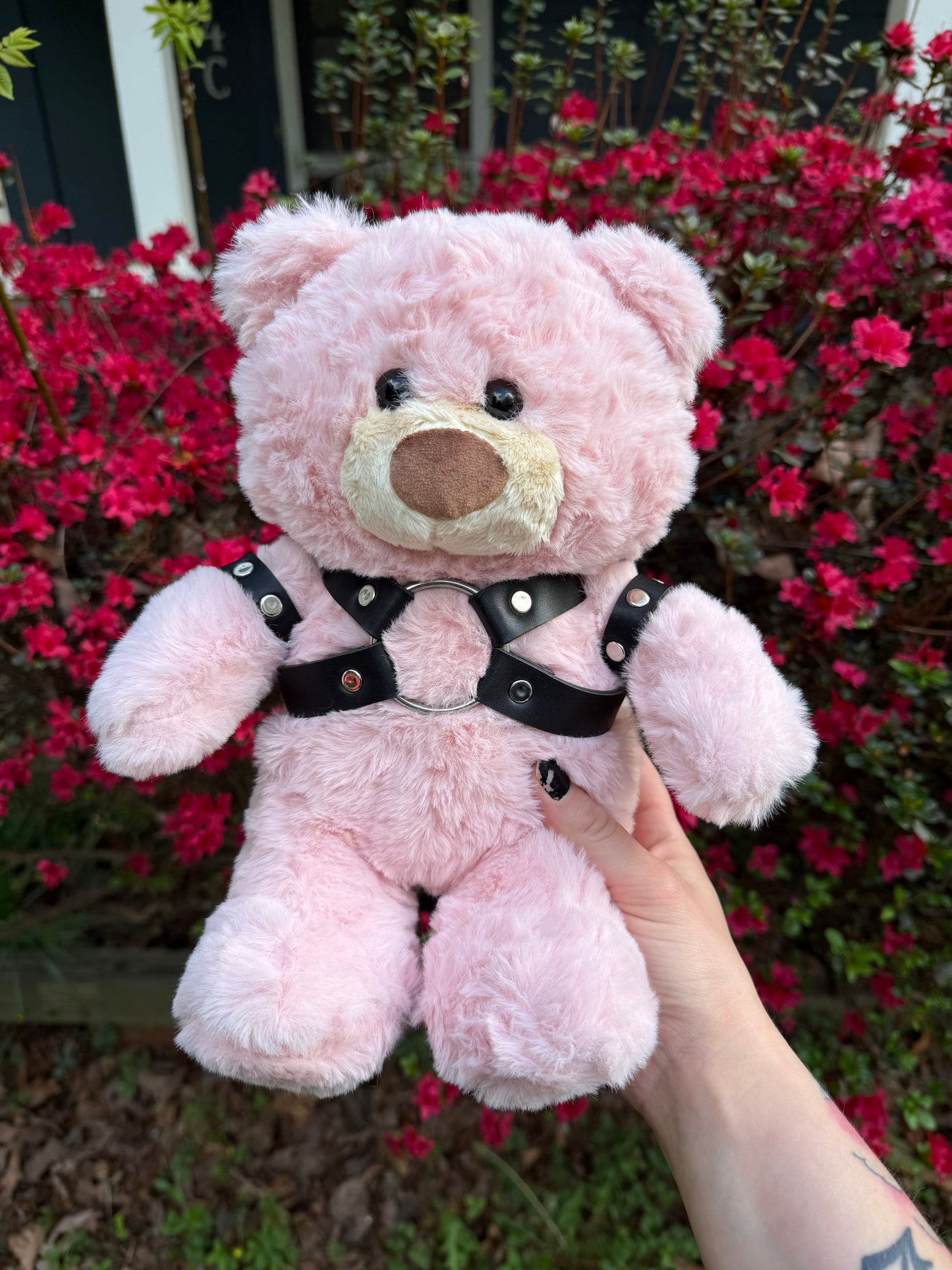 Harness Teddy Bear