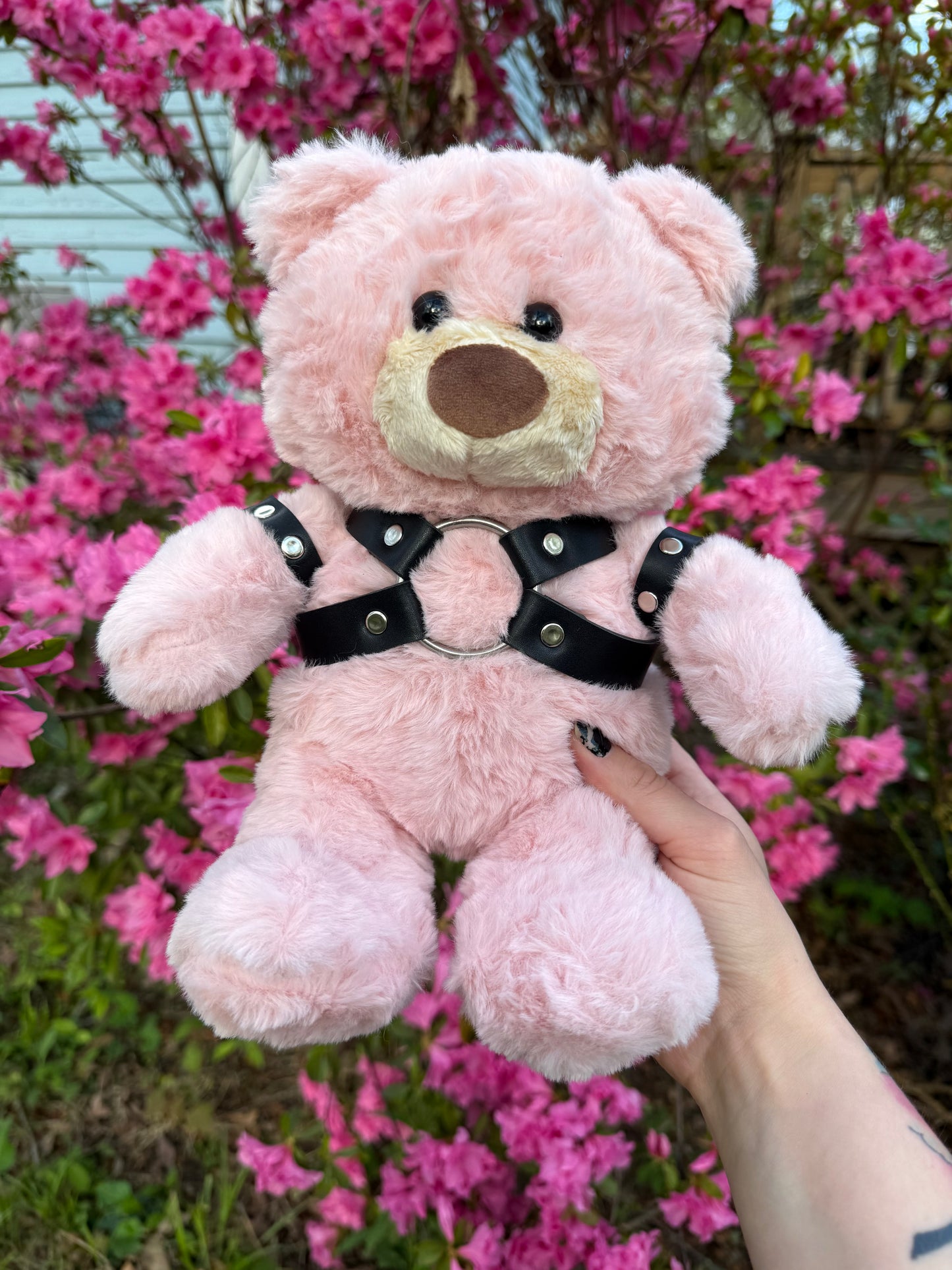 Harness Teddy Bear