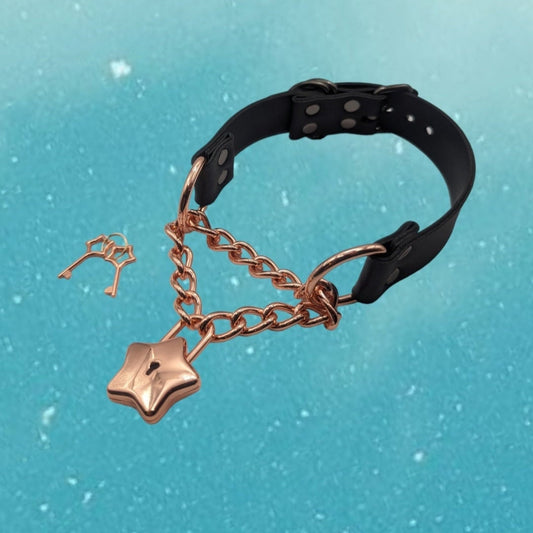 Rose Gold Star Lock Martingale Choker