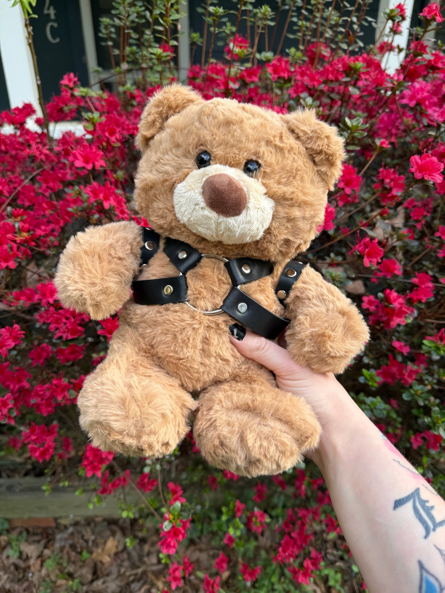 Harness Teddy Bear