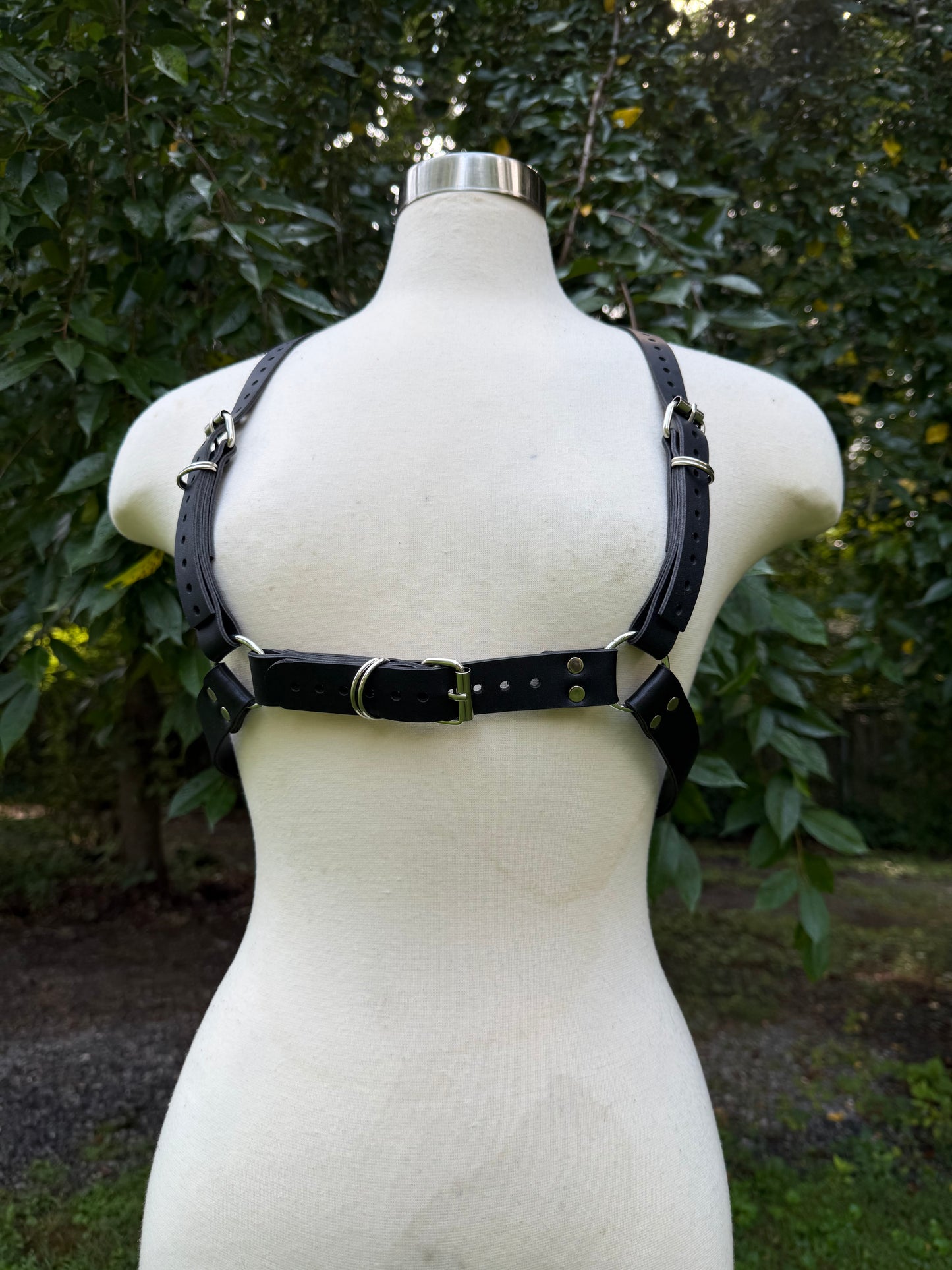 “Creature” Harness