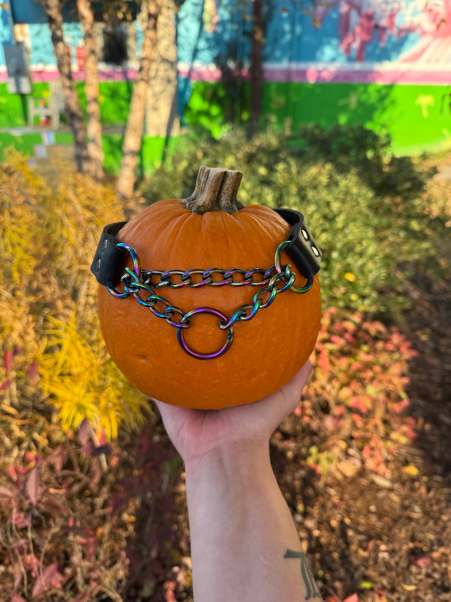 Rainbow Martingale Collar