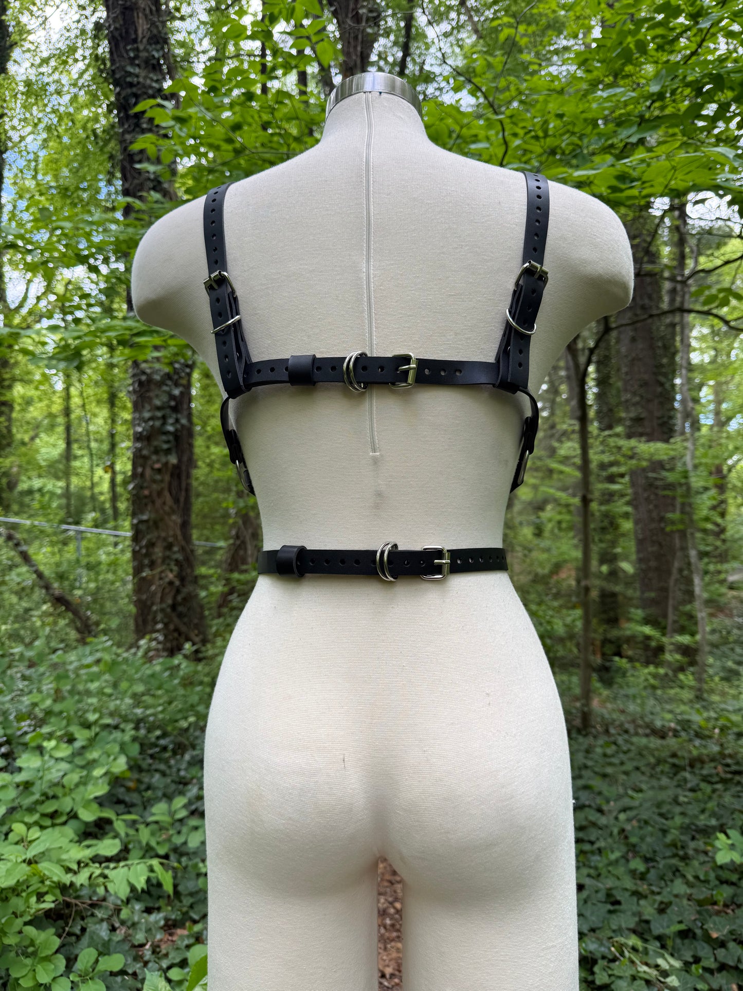 "Revival" Harness
