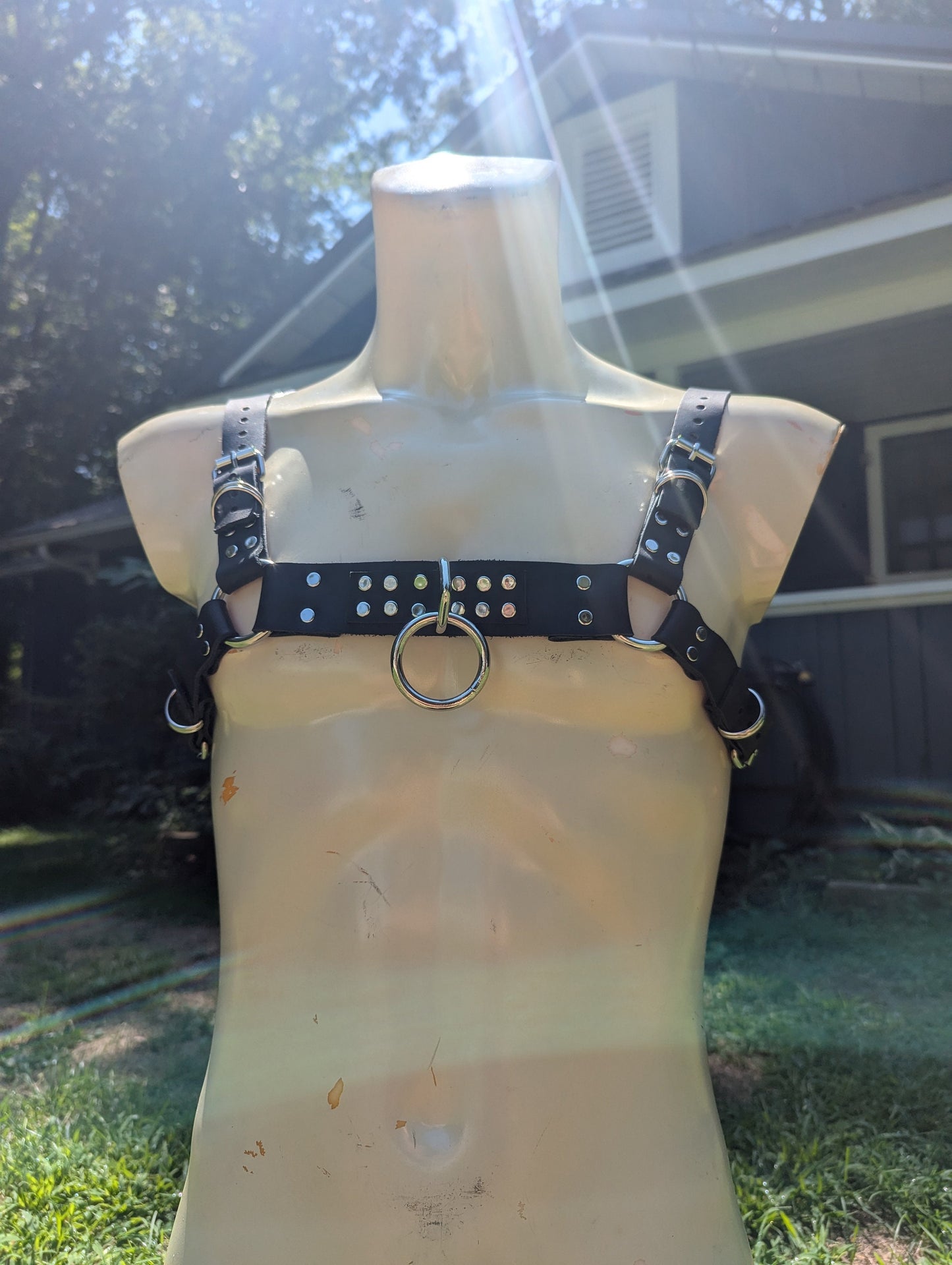 Leather Chest Harness