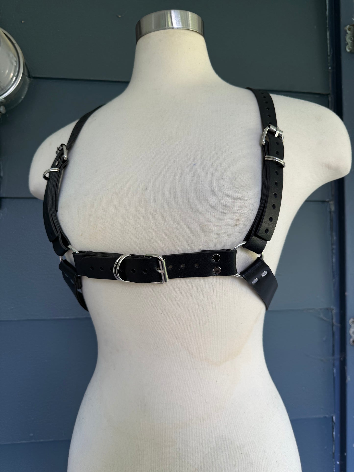 “Creature” Harness