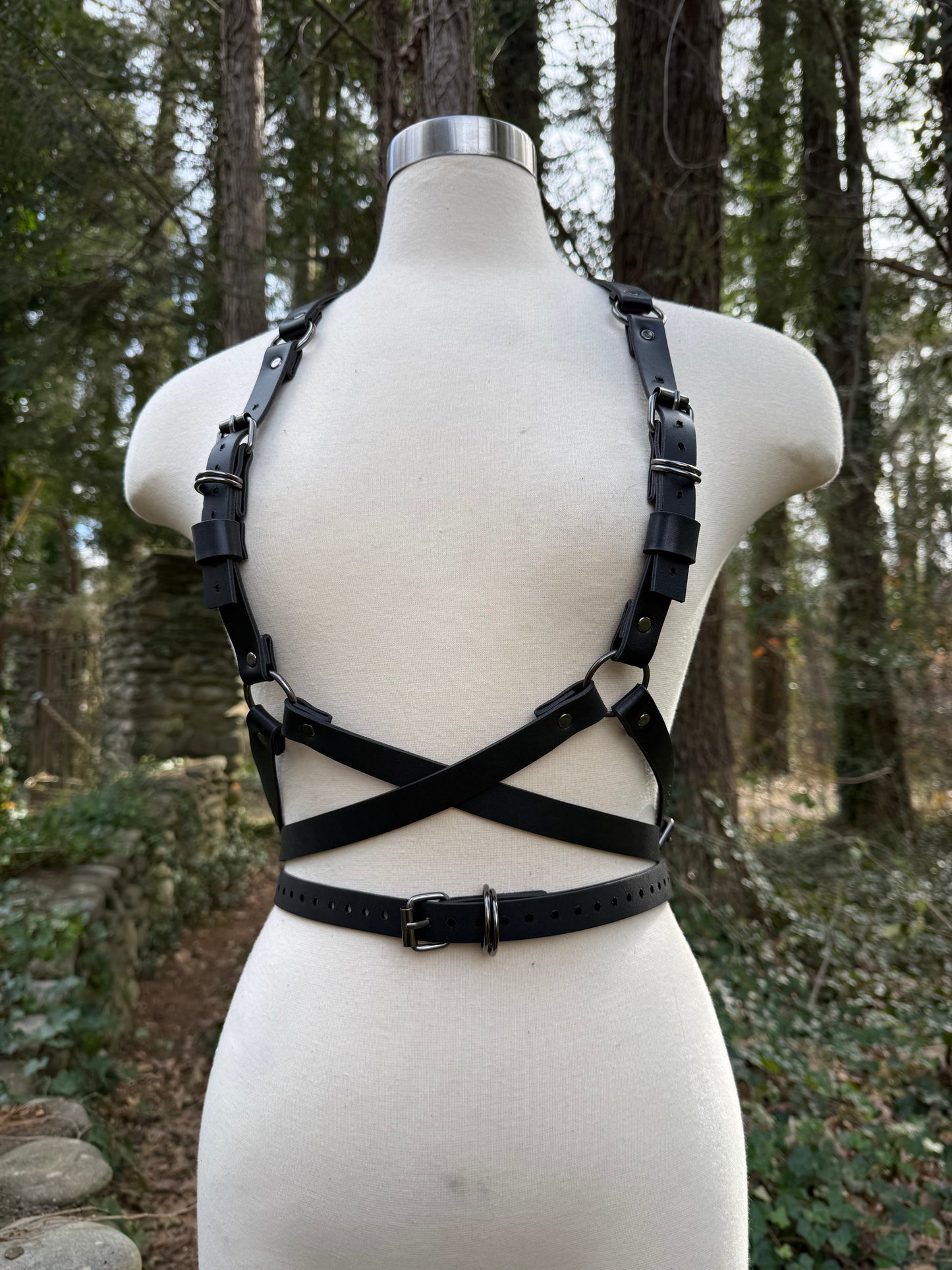 “Foundations” Harness