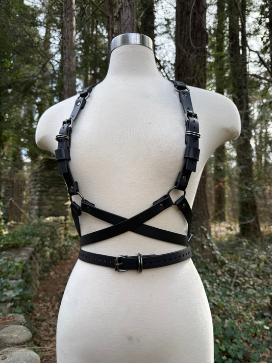 “Foundations” Harness