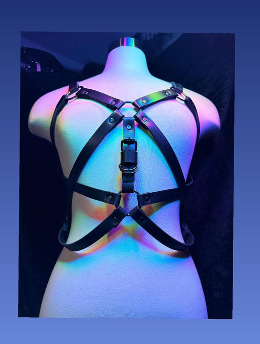 “Visions” Harness