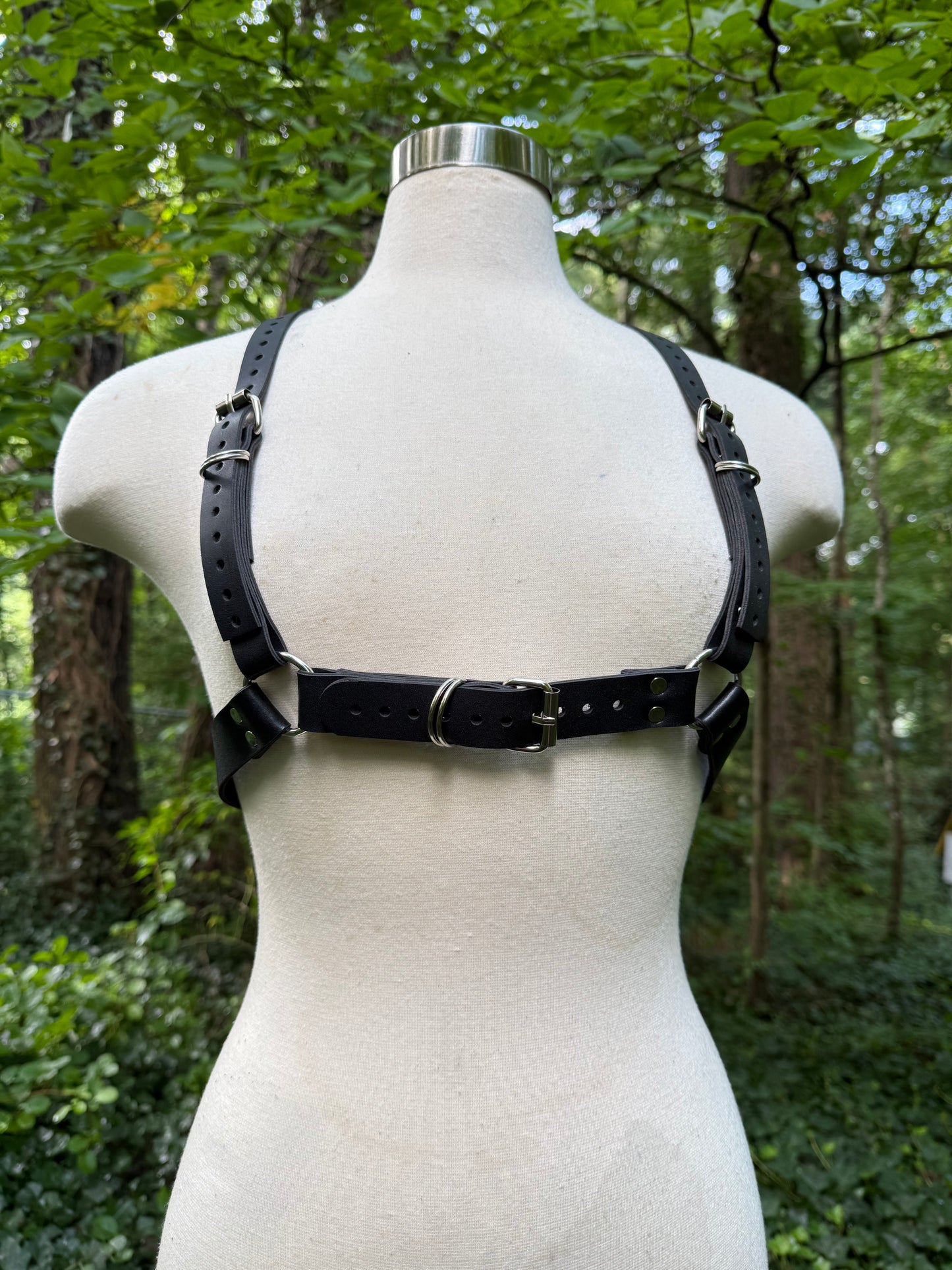 “Creature” Harness