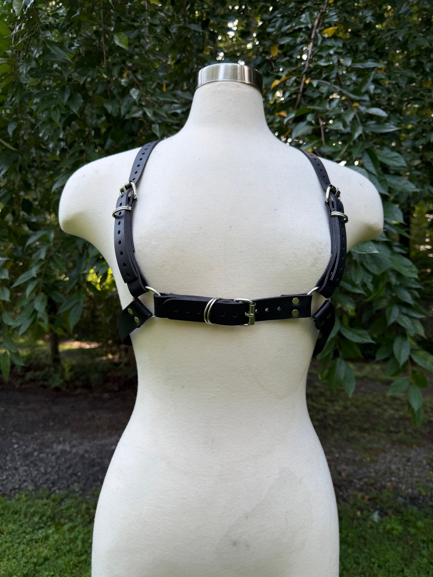 “Creature” Harness
