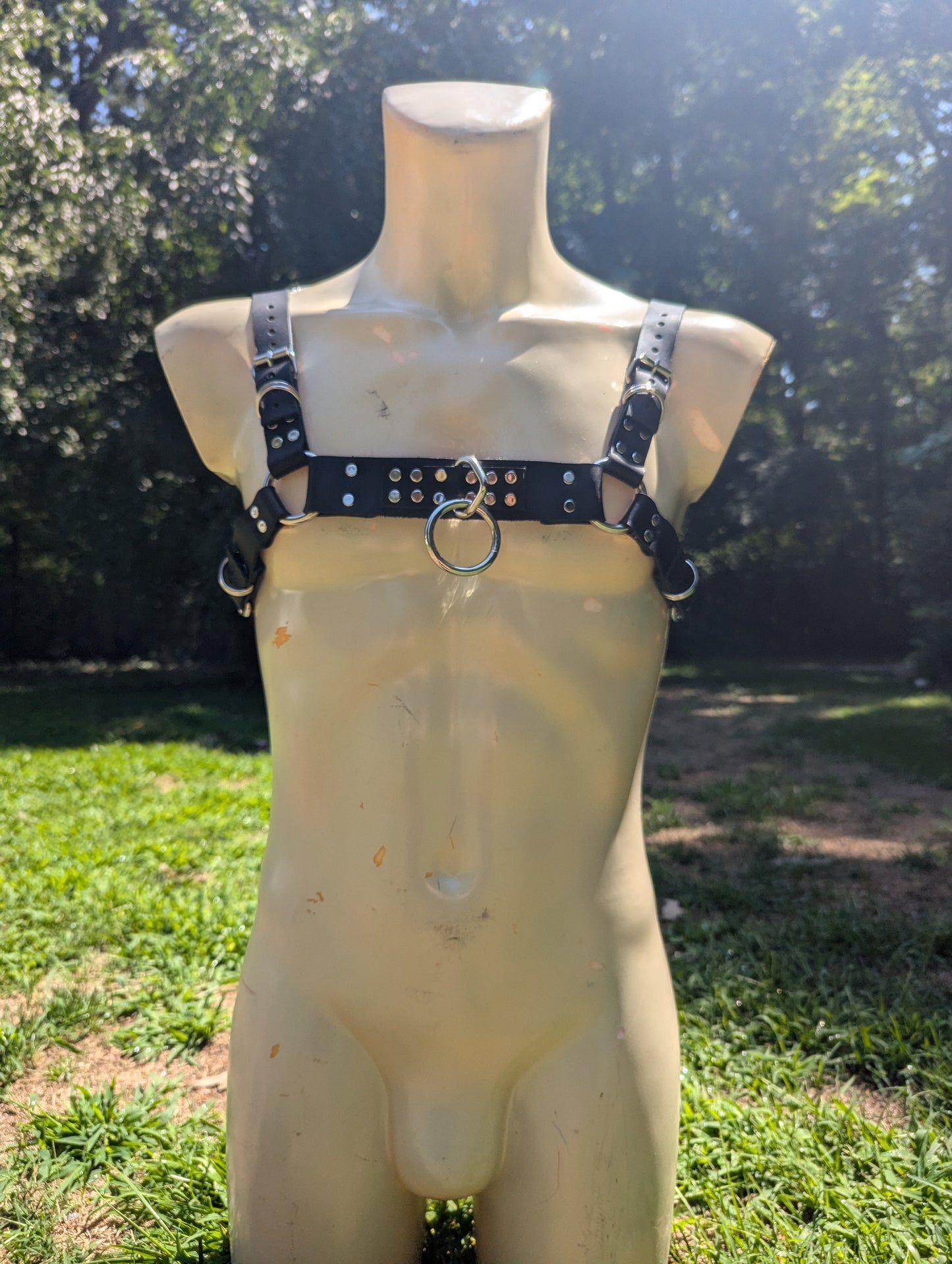 Leather Chest Harness