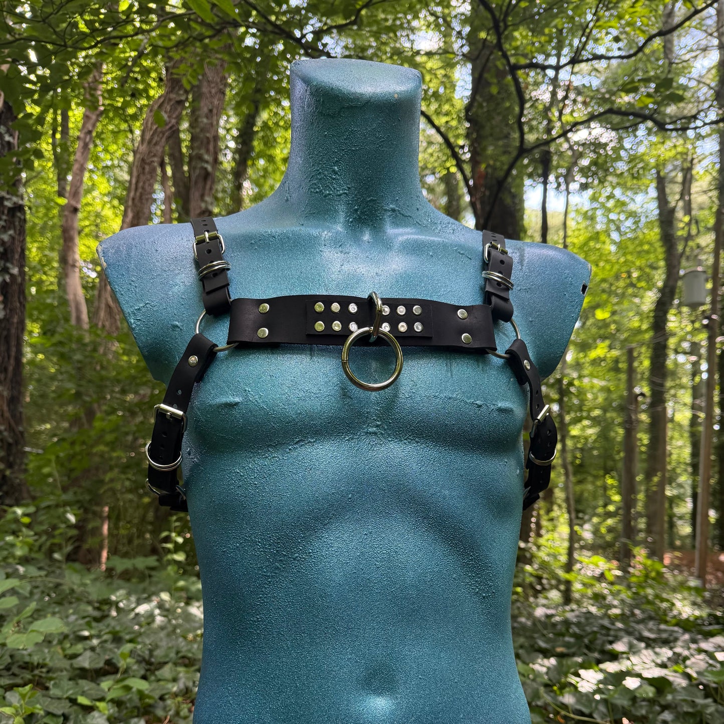 Leather Chest Harness