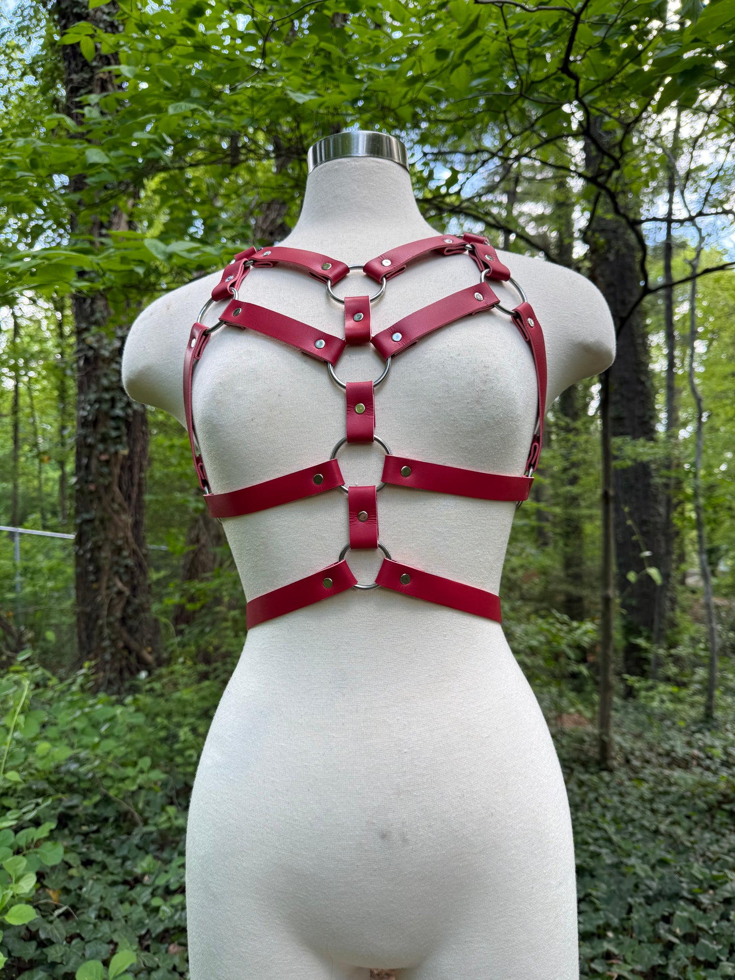 "Revival" Harness