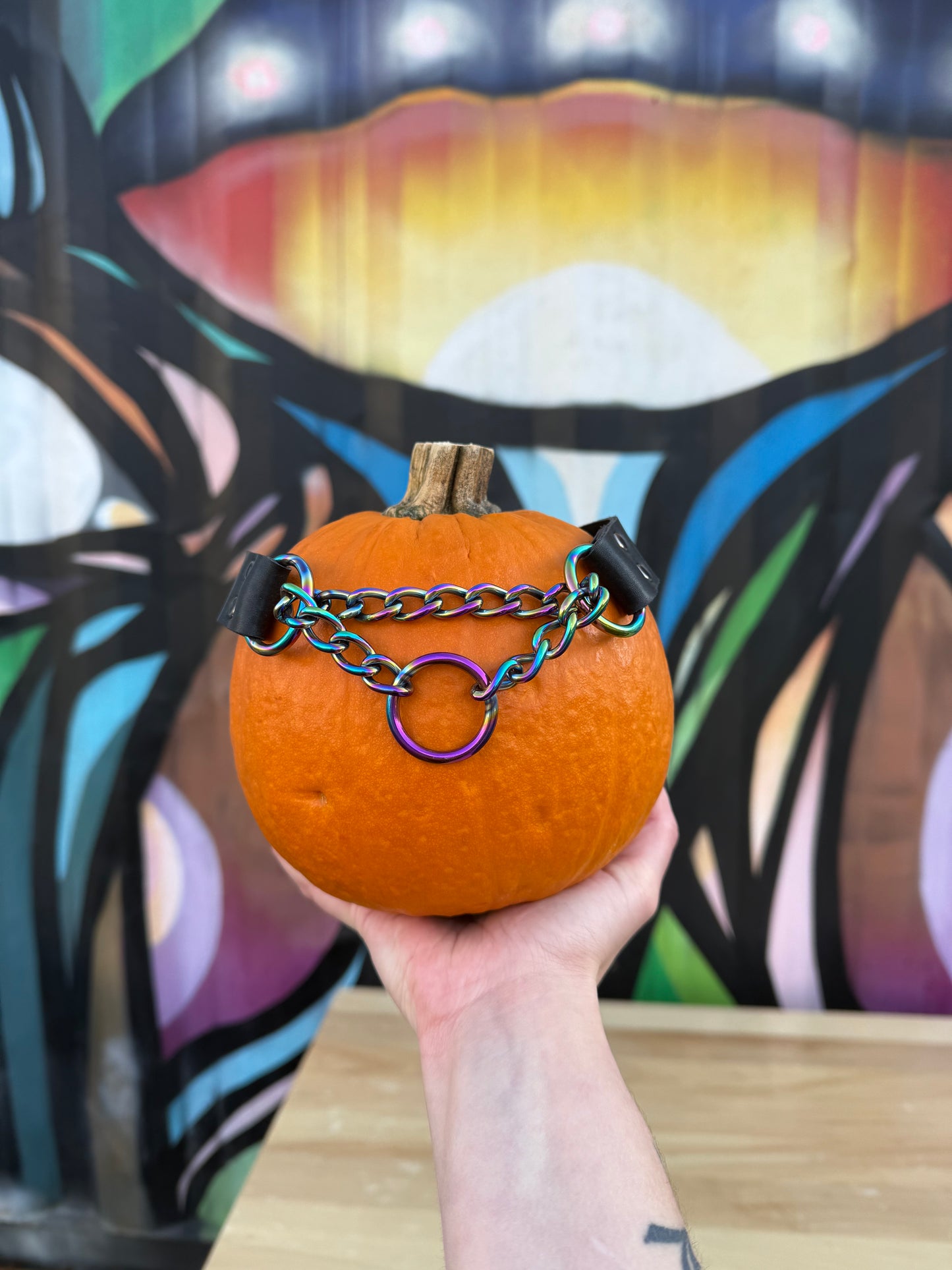 Rainbow Martingale Collar