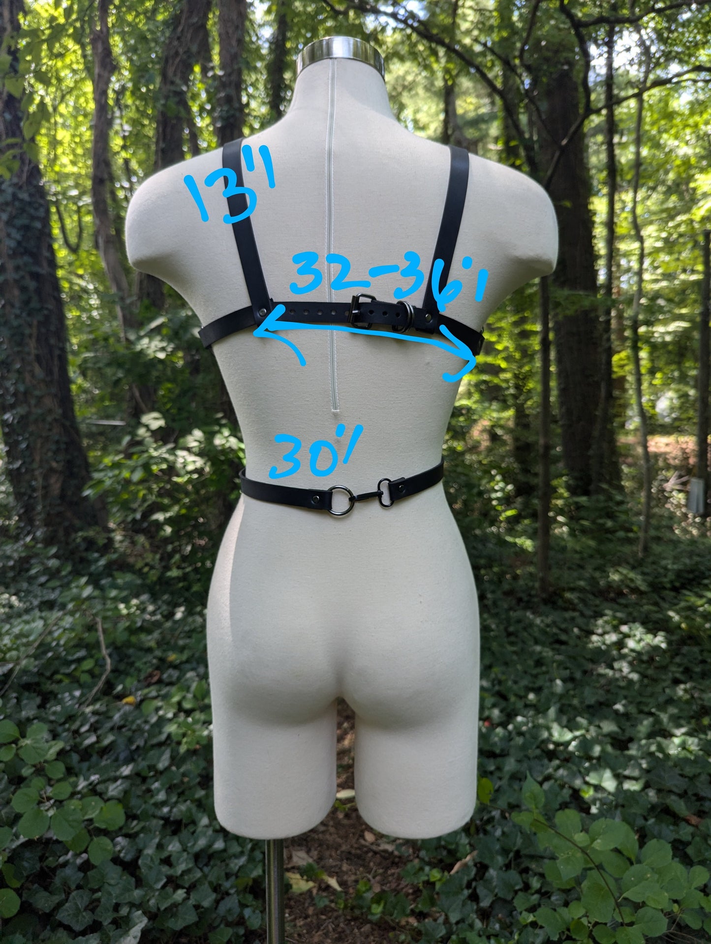 "Revival" Harness