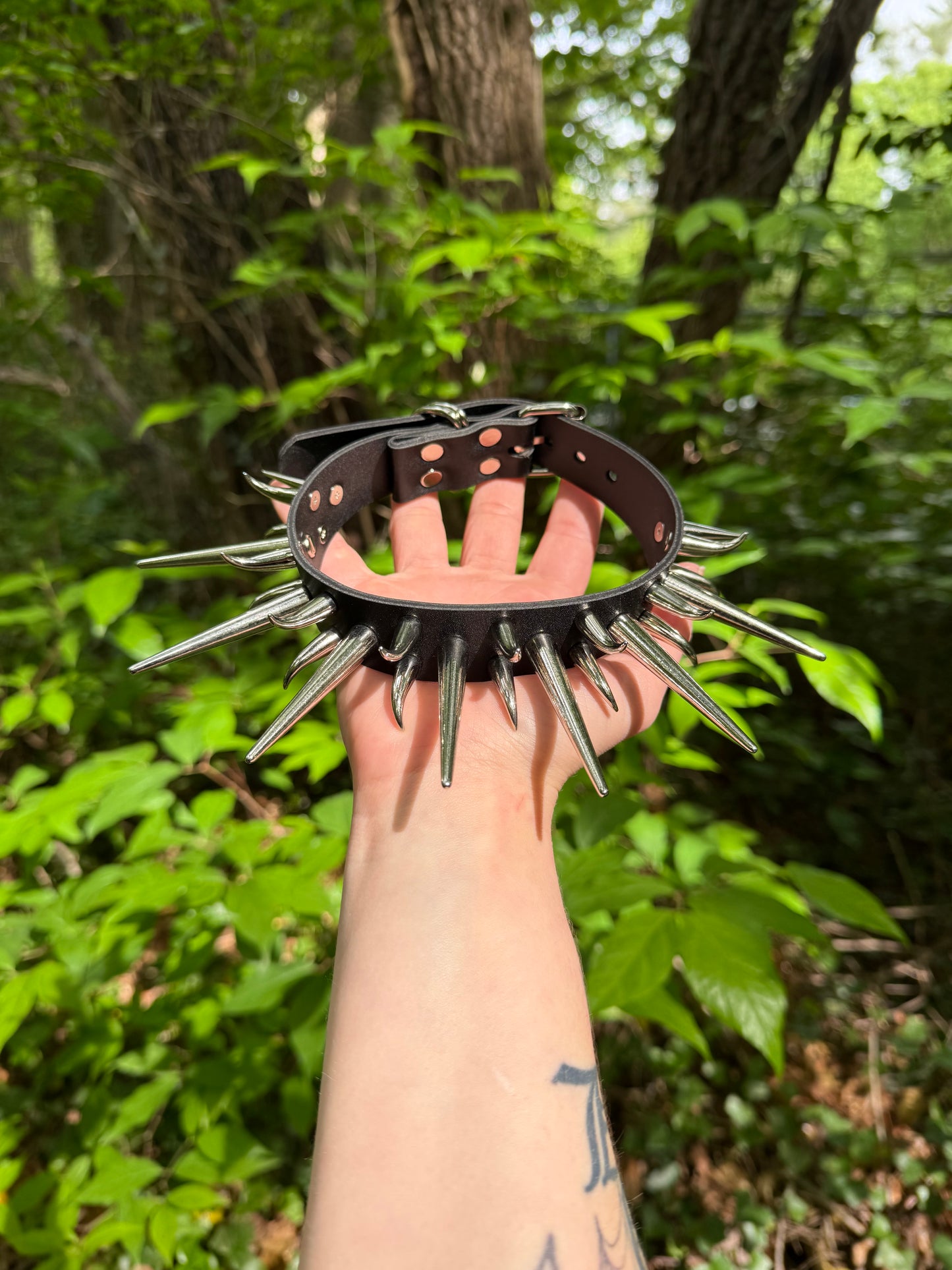 “Lion’s Den” Collar