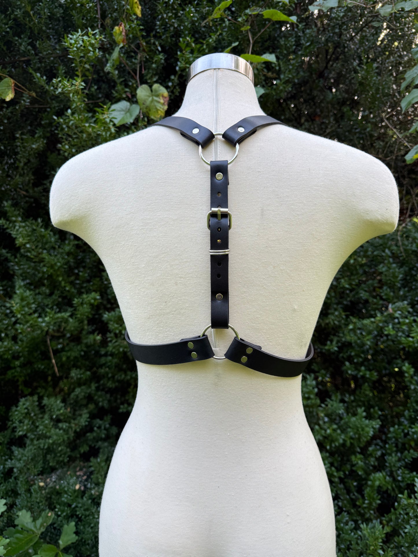 “Creature” Harness
