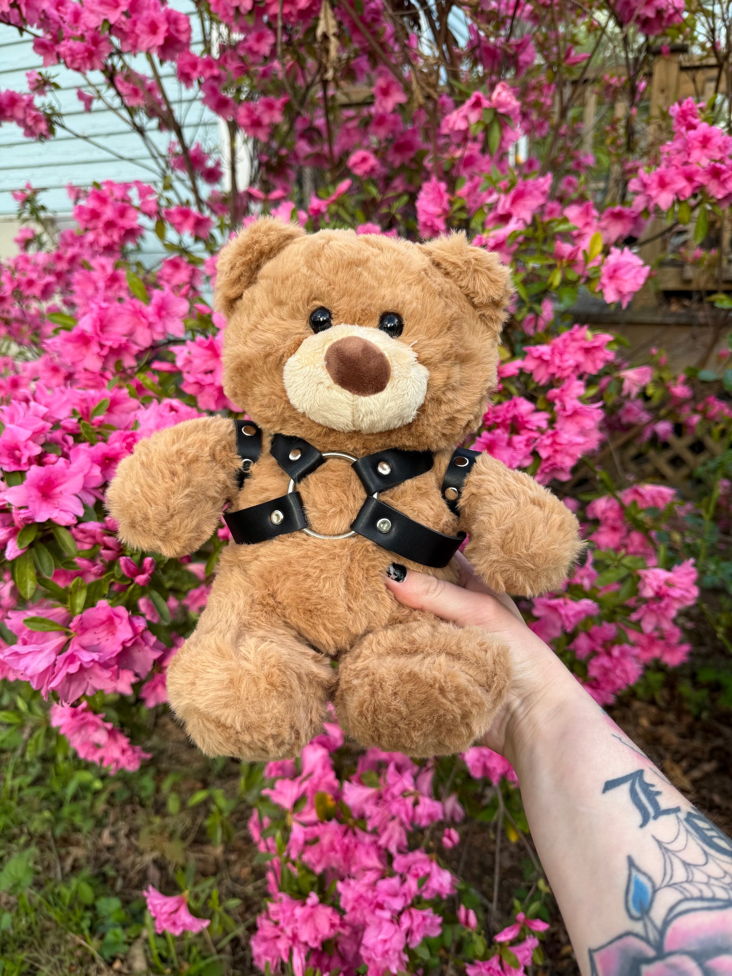 Harness Teddy Bear