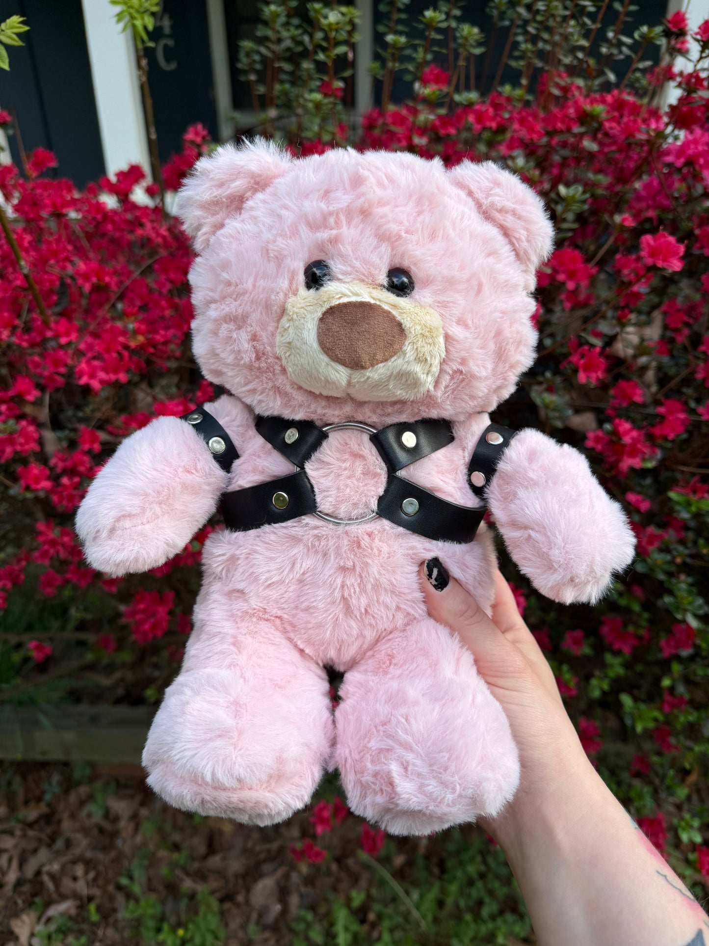 Harness Teddy Bear