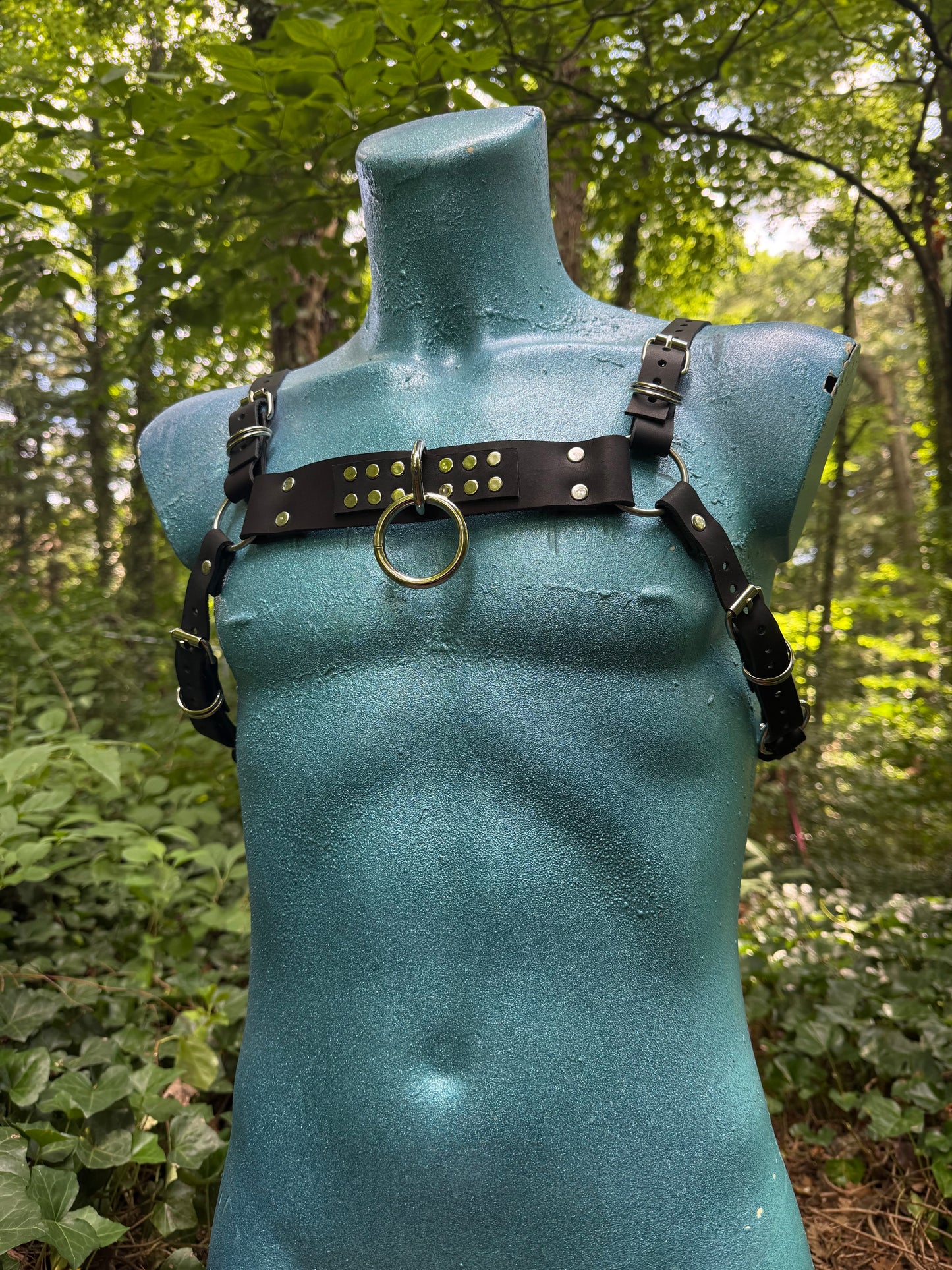 Leather Chest Harness