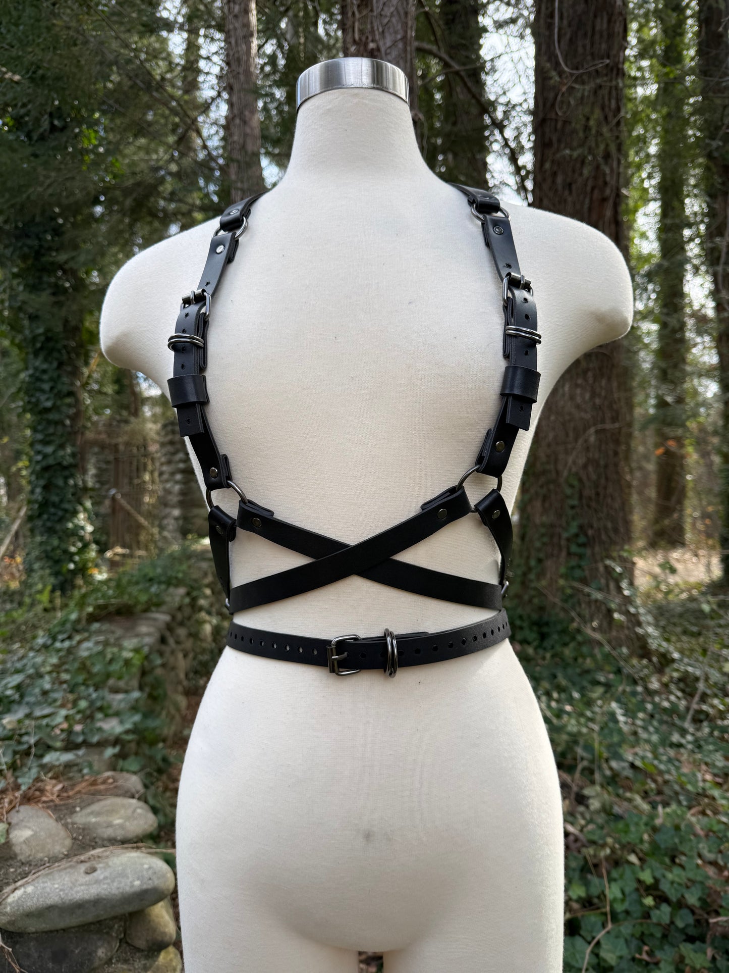 “Foundations” Harness