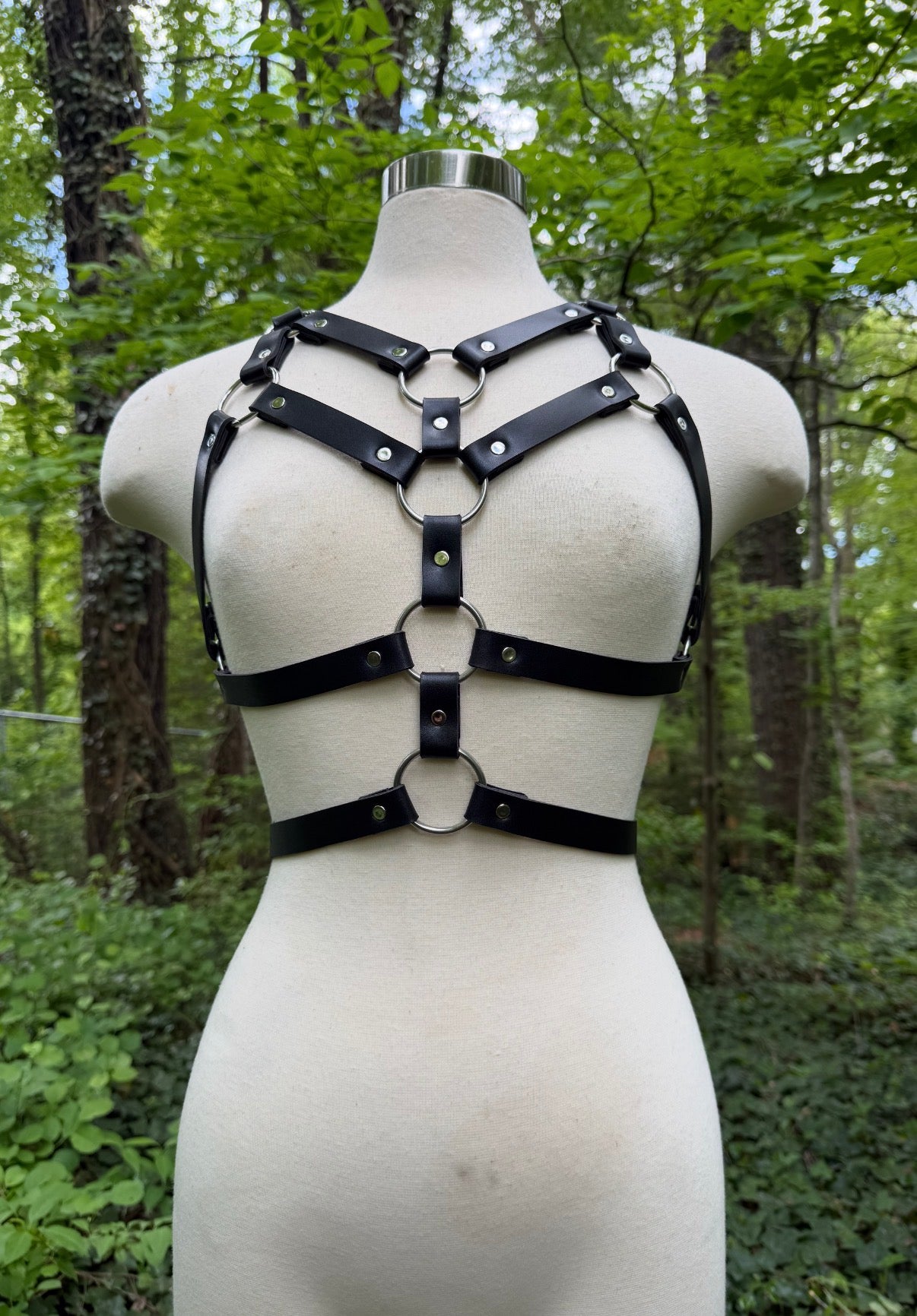 "Revival" Harness