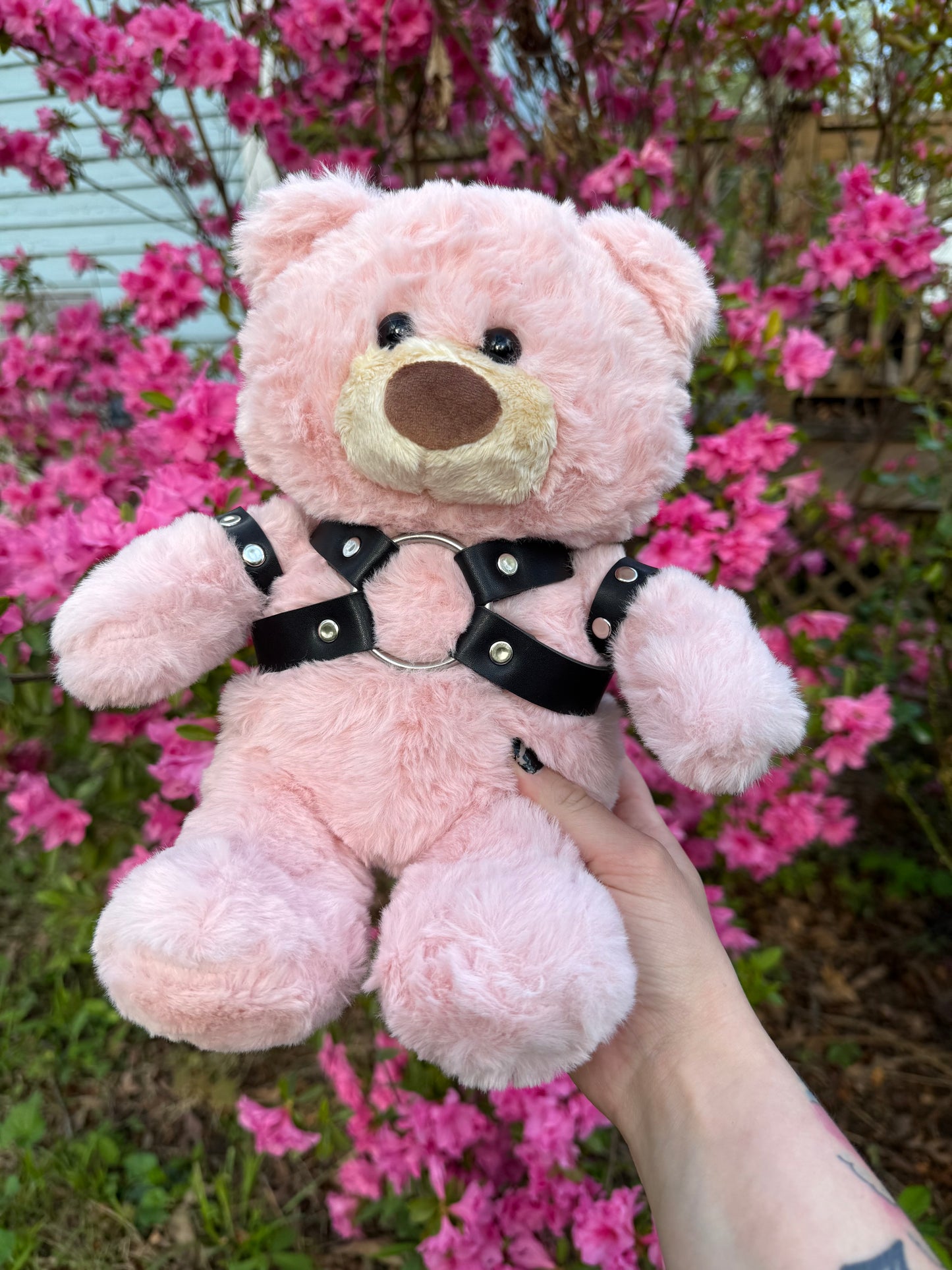 Harness Teddy Bear