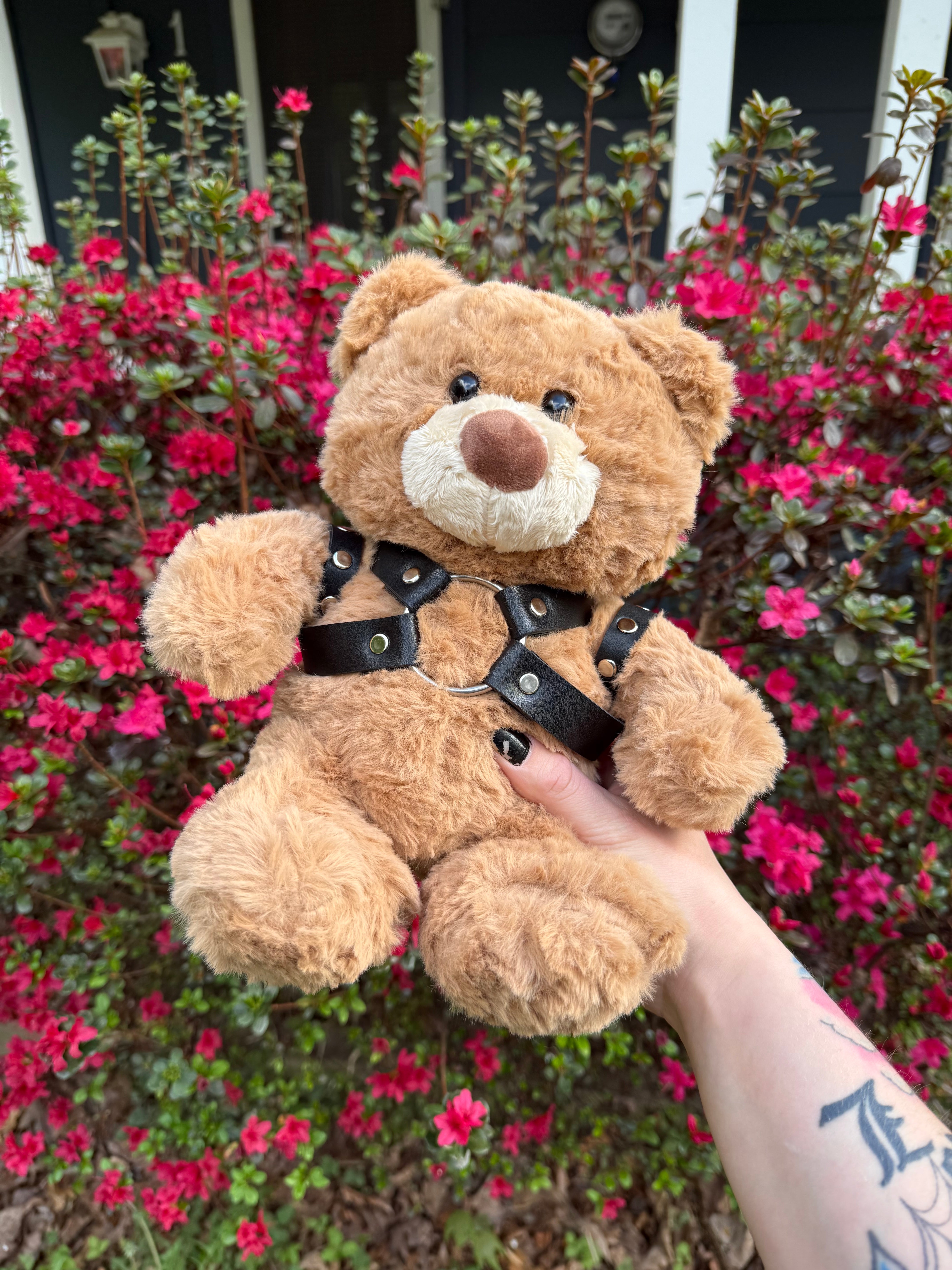 Harness Teddy Bear – Sxbject Delta