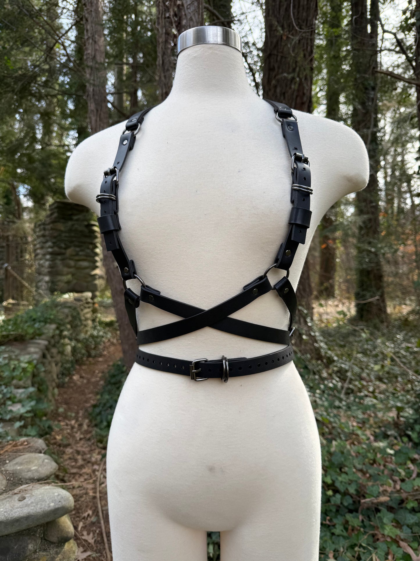“Foundations” Harness