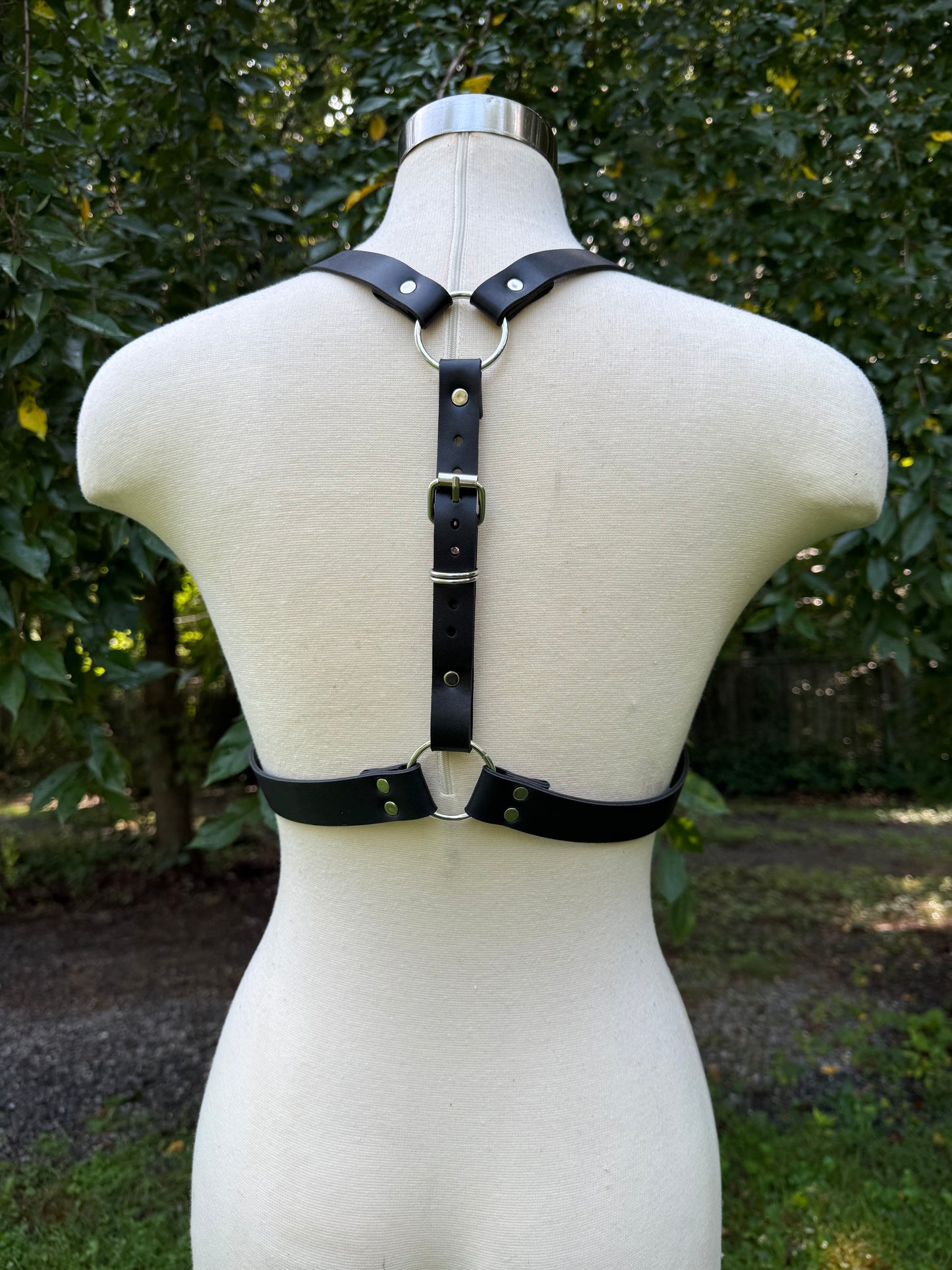 “Creature” Harness