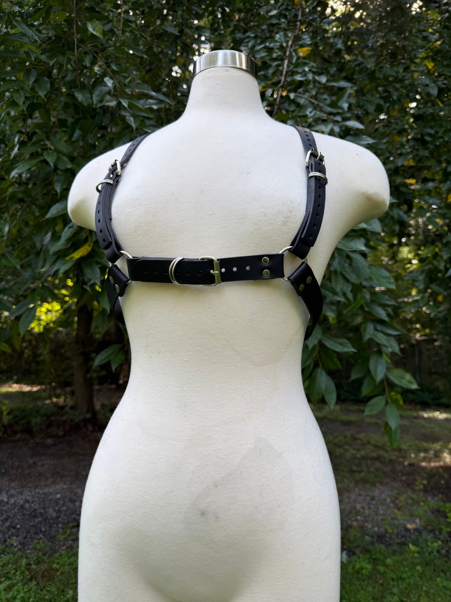 “Creature” Harness
