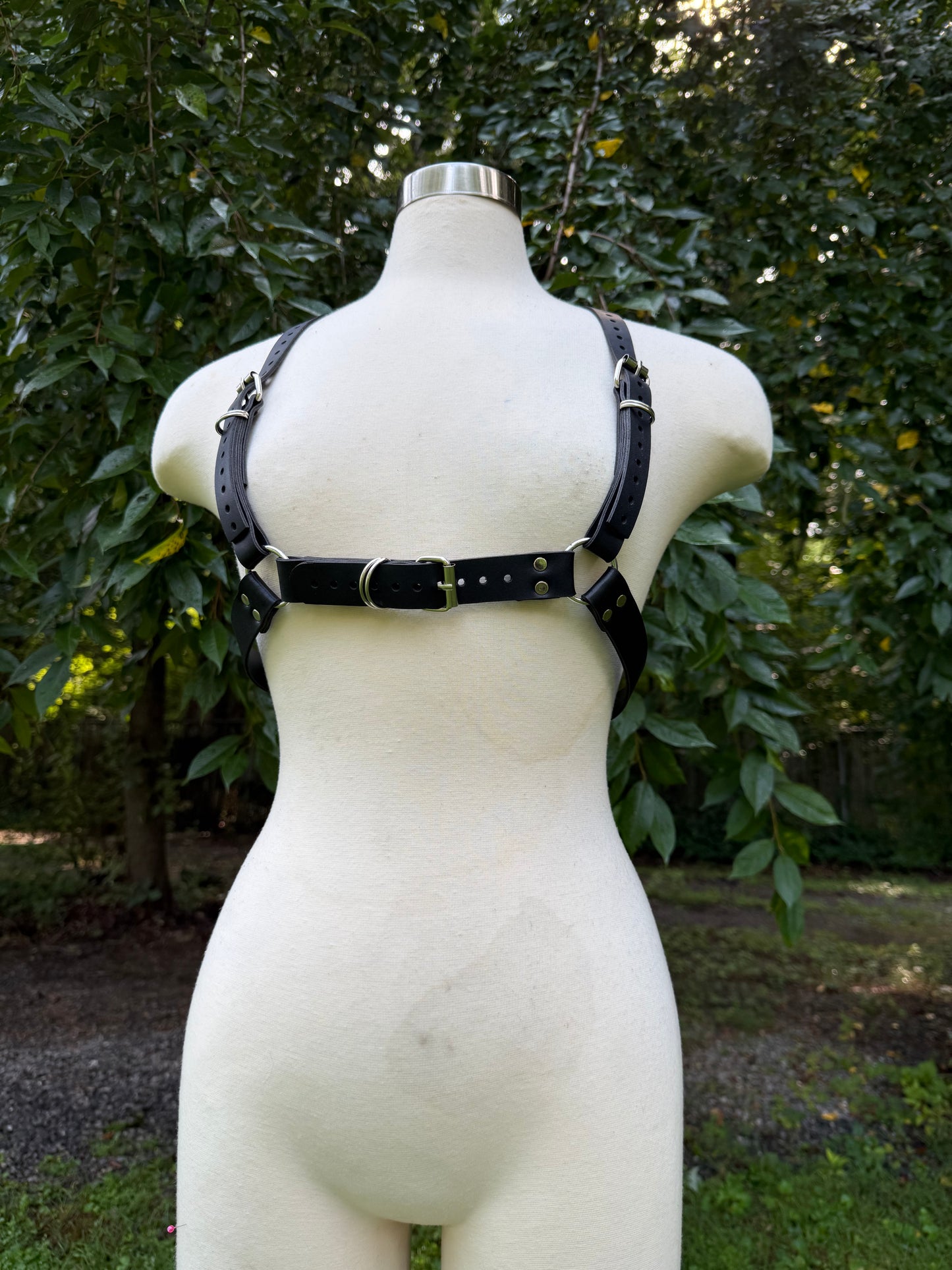 “Creature” Harness
