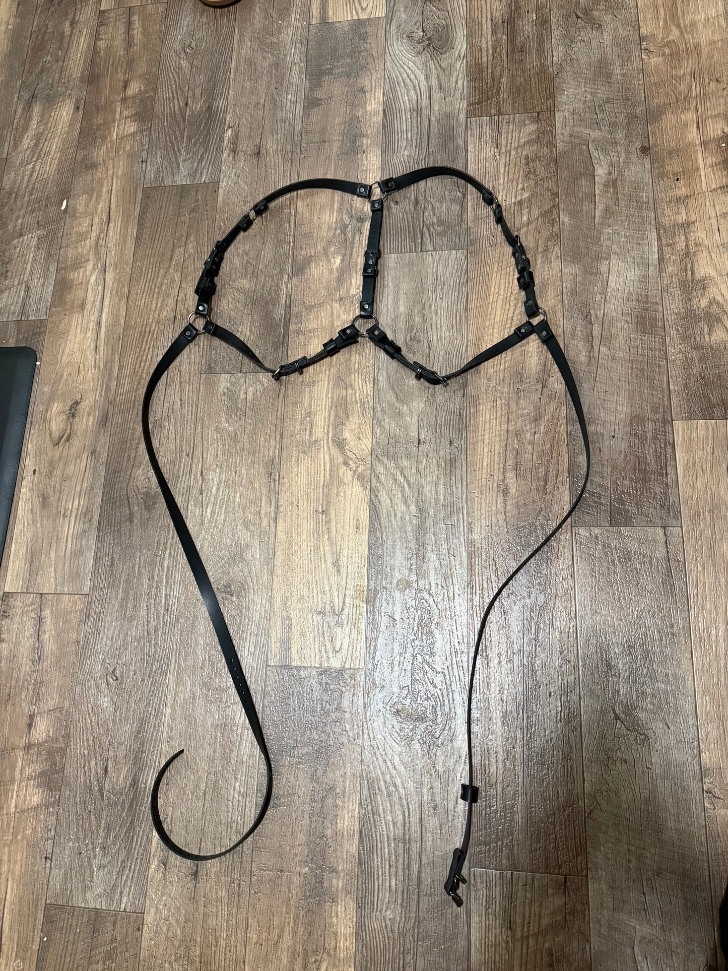 “Foundations” Harness