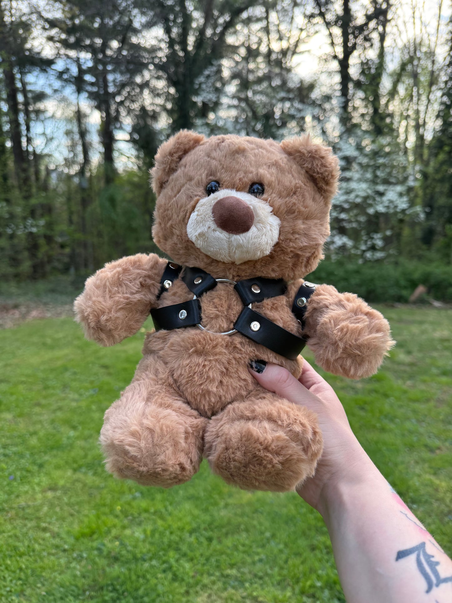 Harness Teddy Bear