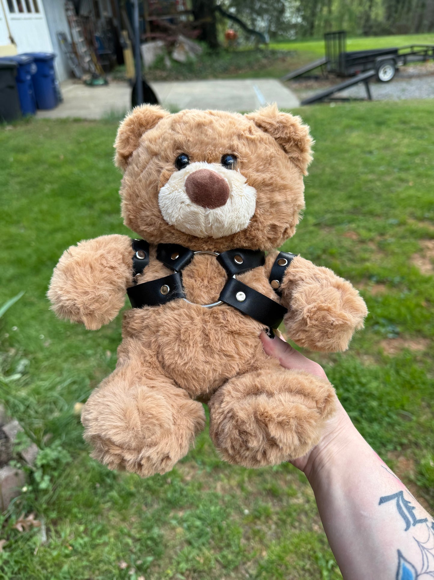 Harness Teddy Bear