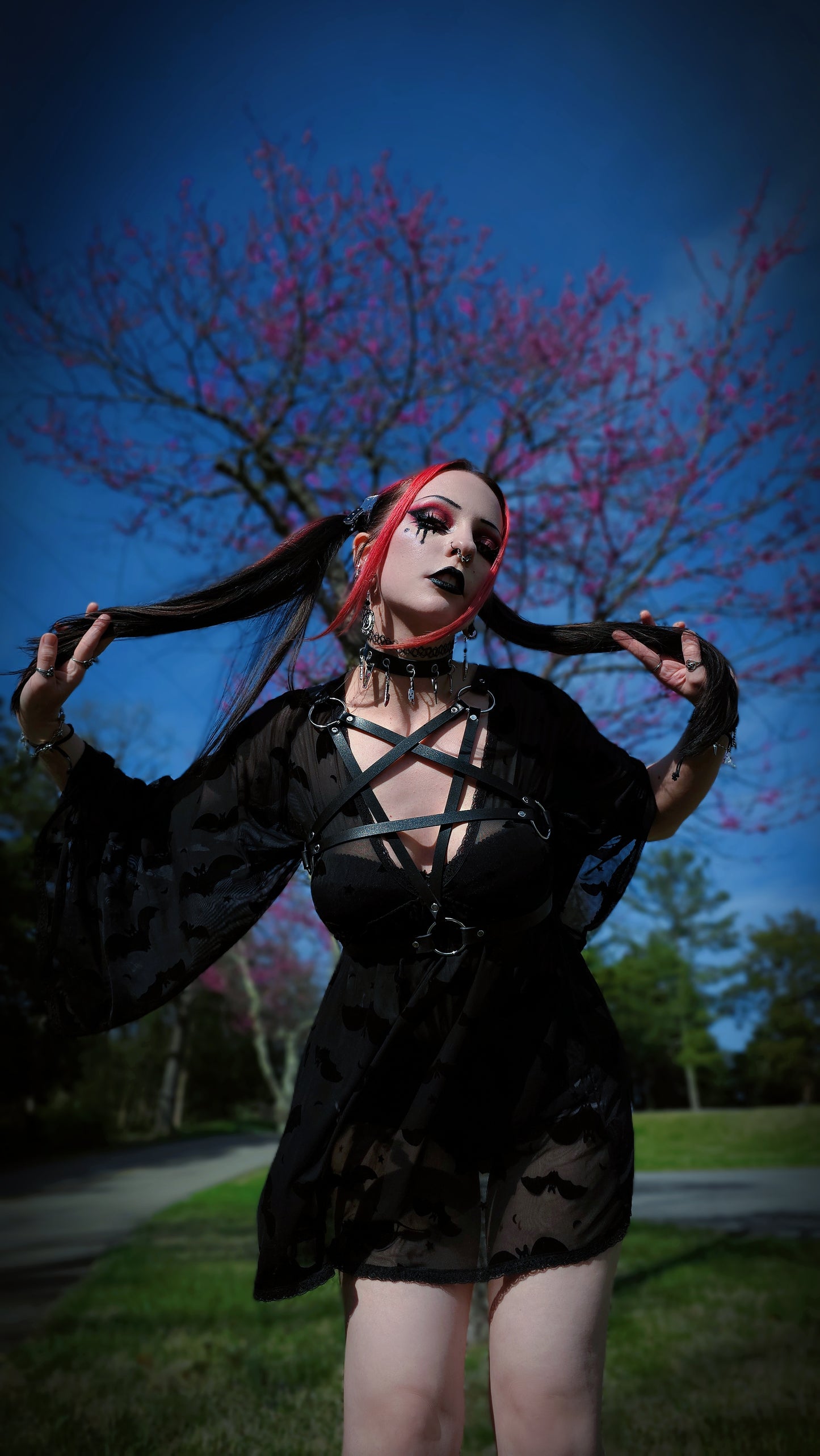 Pentagram Harness