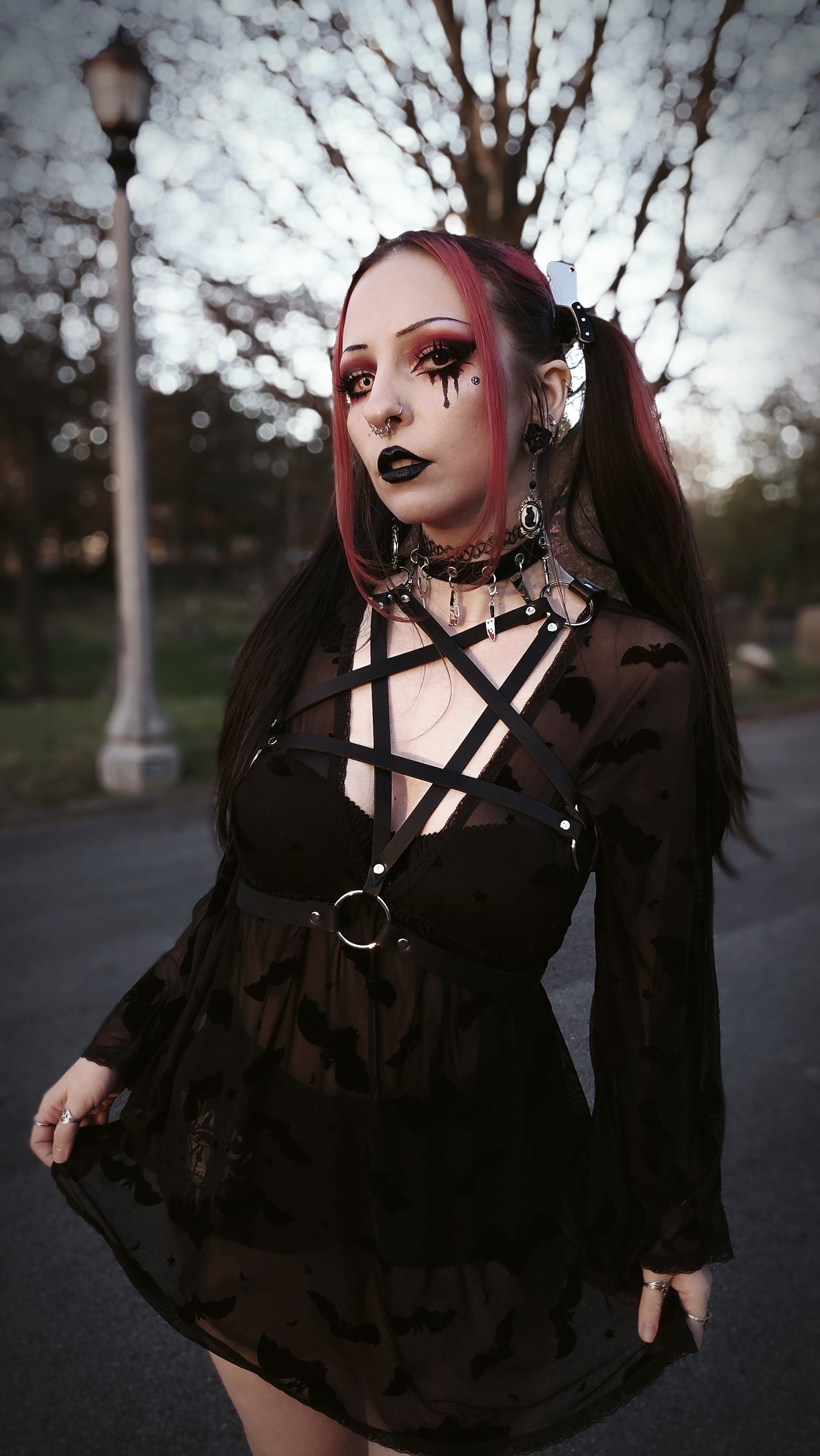 Pentagram Harness
